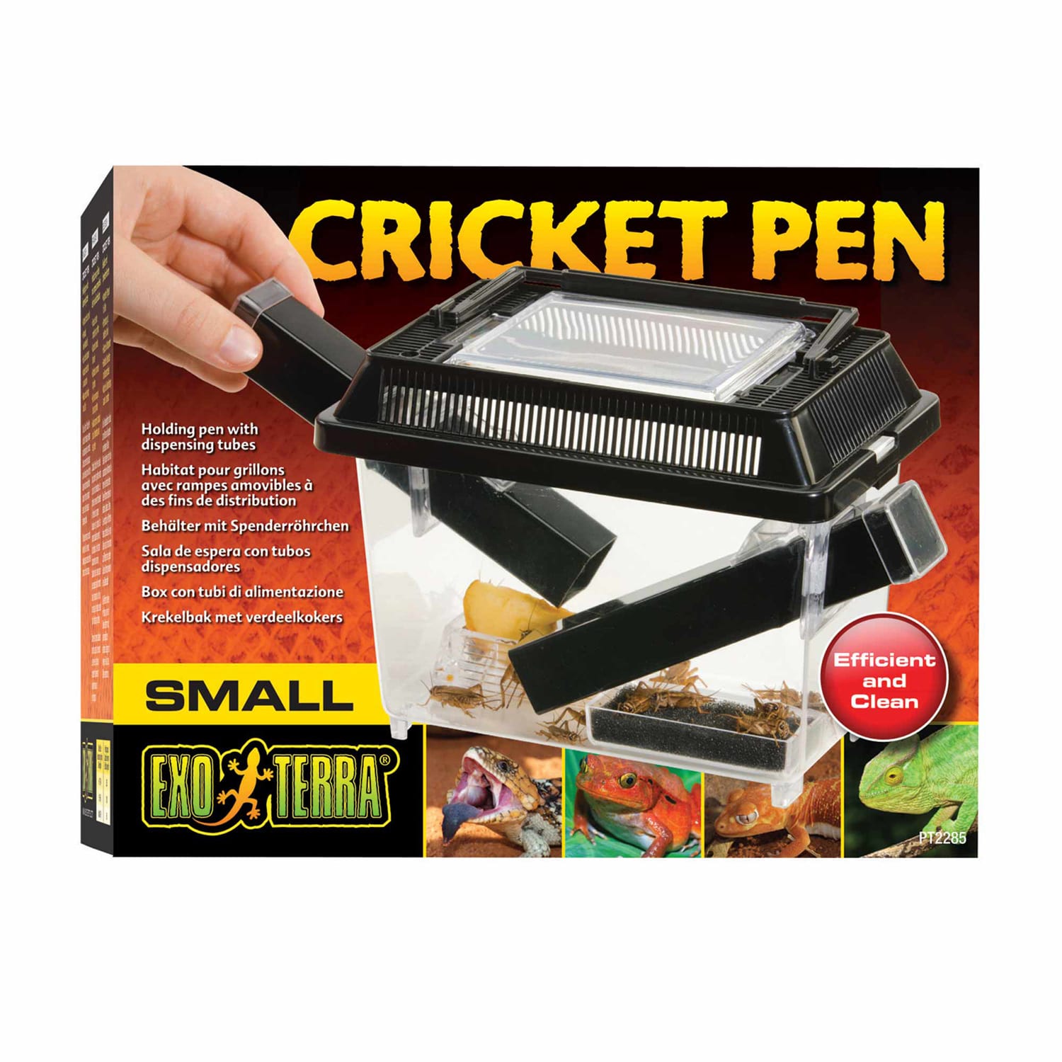 Medium Cricket Pen Kricket Keeper Reptile Green Plastic Clear No