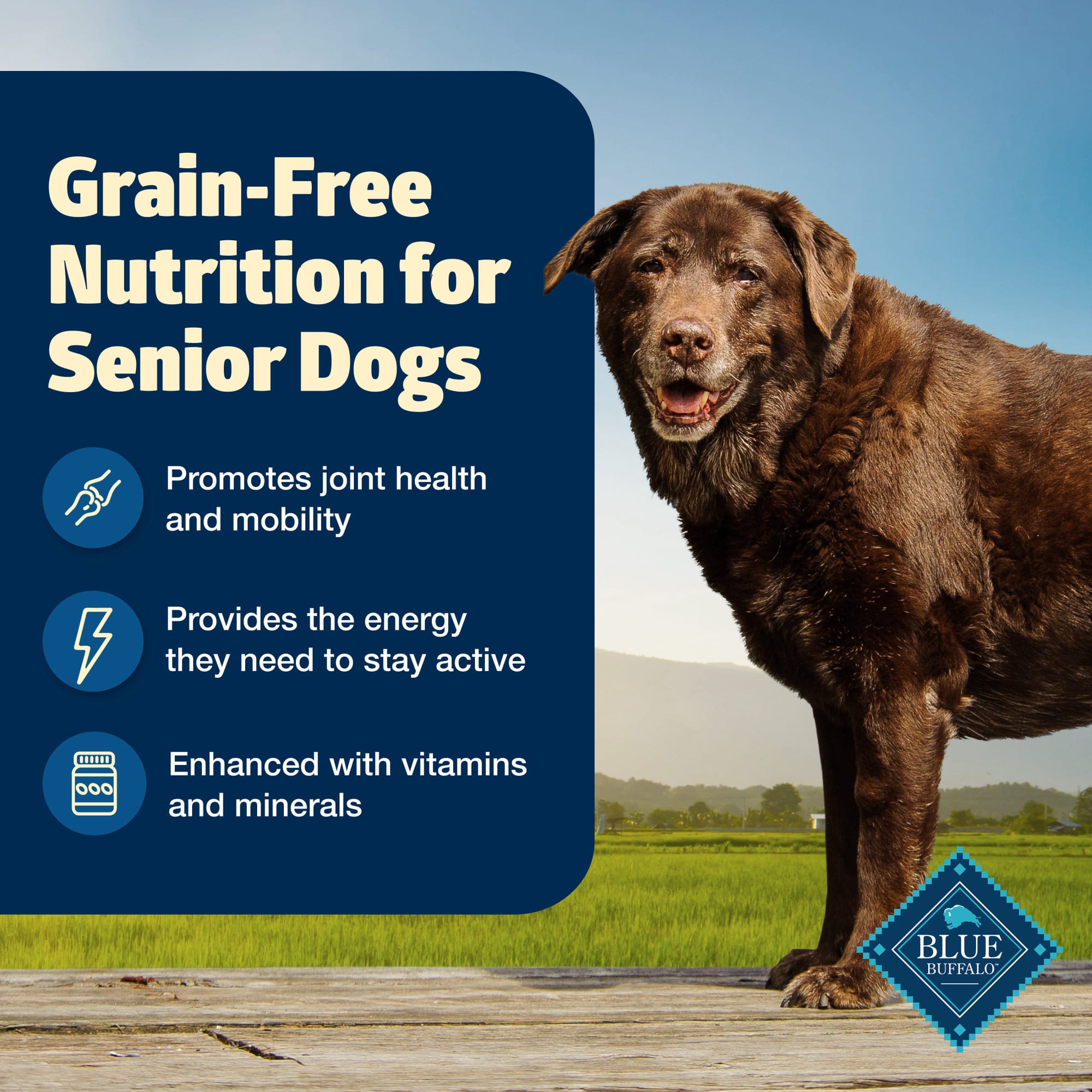 Grain Free Best Dog Food For Active Dogs Harringtons Superfoods