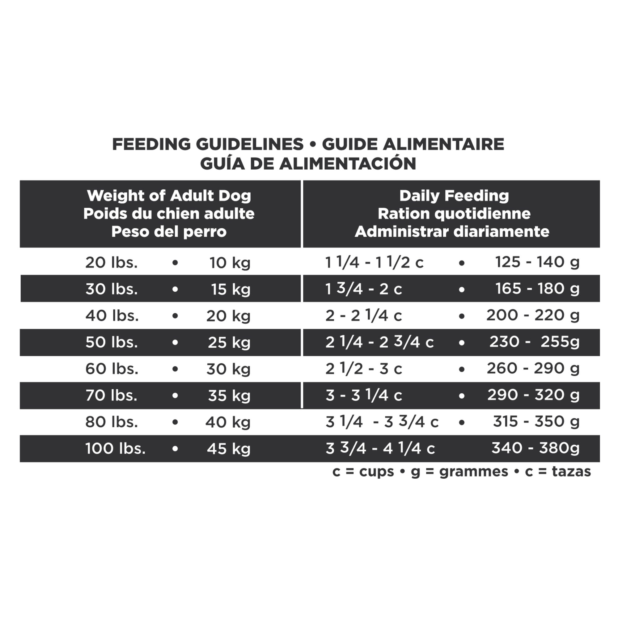 eukanuba boxer puppy