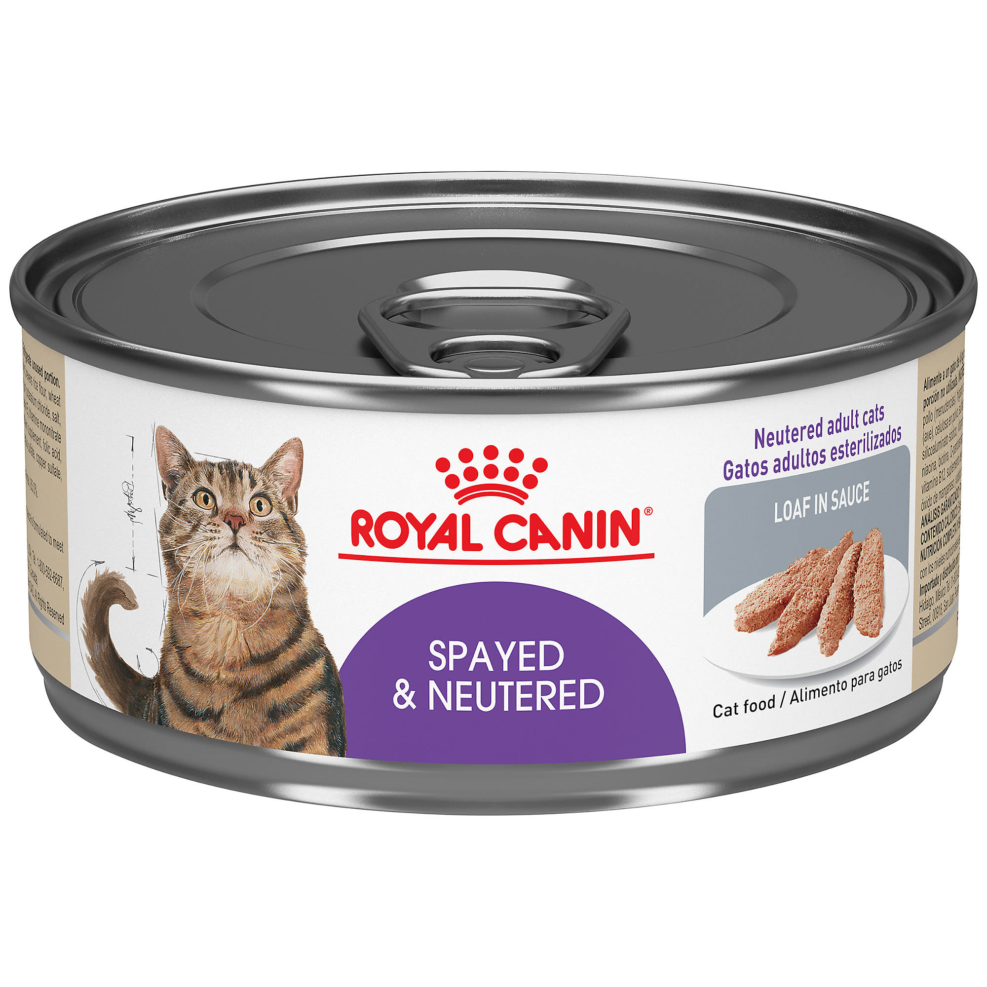 UPC 030111810557 product image for Royal Canin Feline Health Nutrition Spayed & Neutered Loaf in Sauce Wet Cat Food | upcitemdb.com