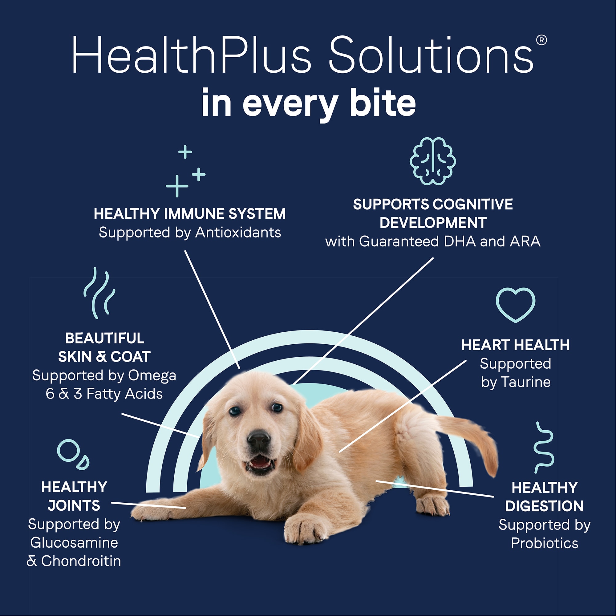 canidae puppy food petco,Save up to