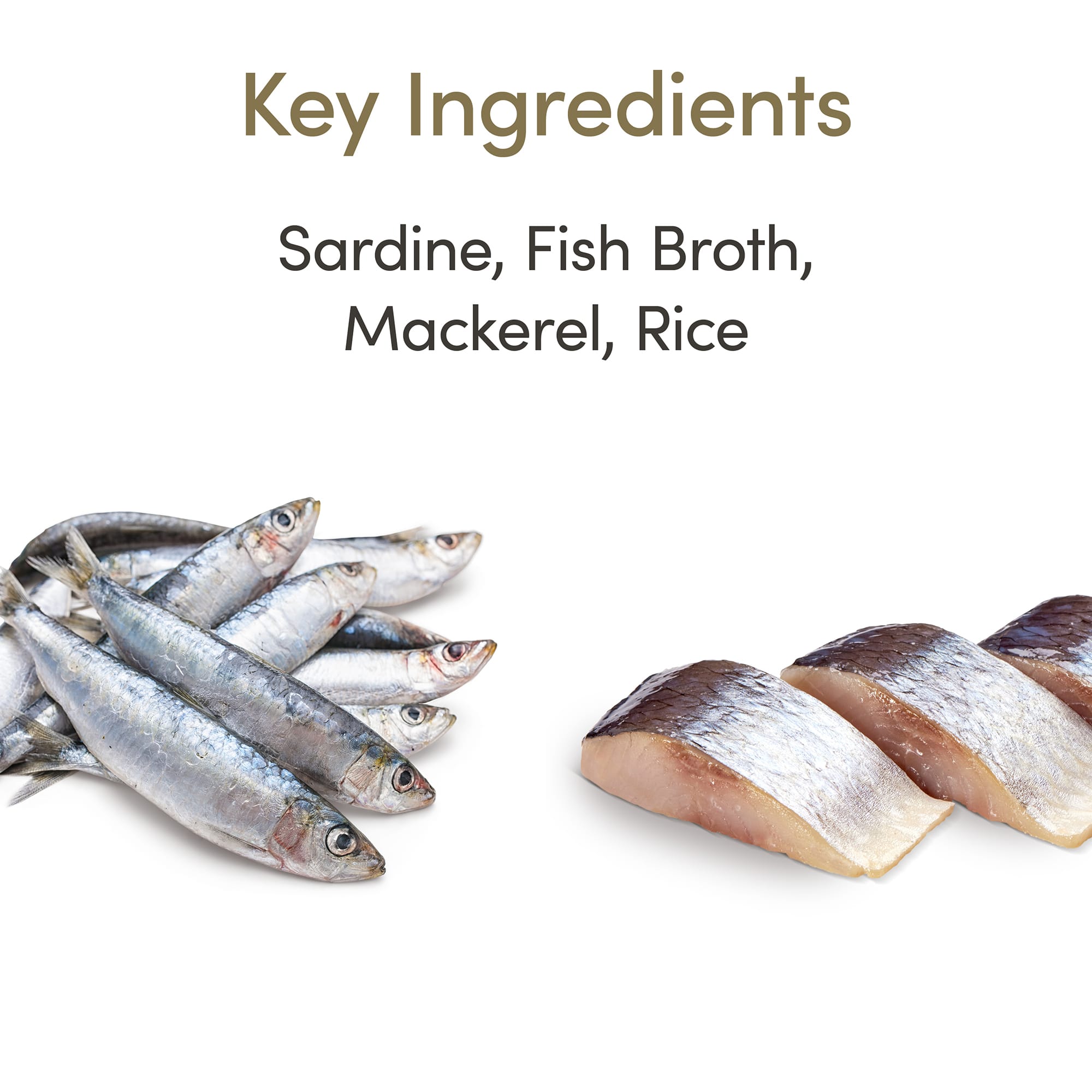 Applaws Natural Wet Sardine with Mackerel in Broth Wet Cat Food