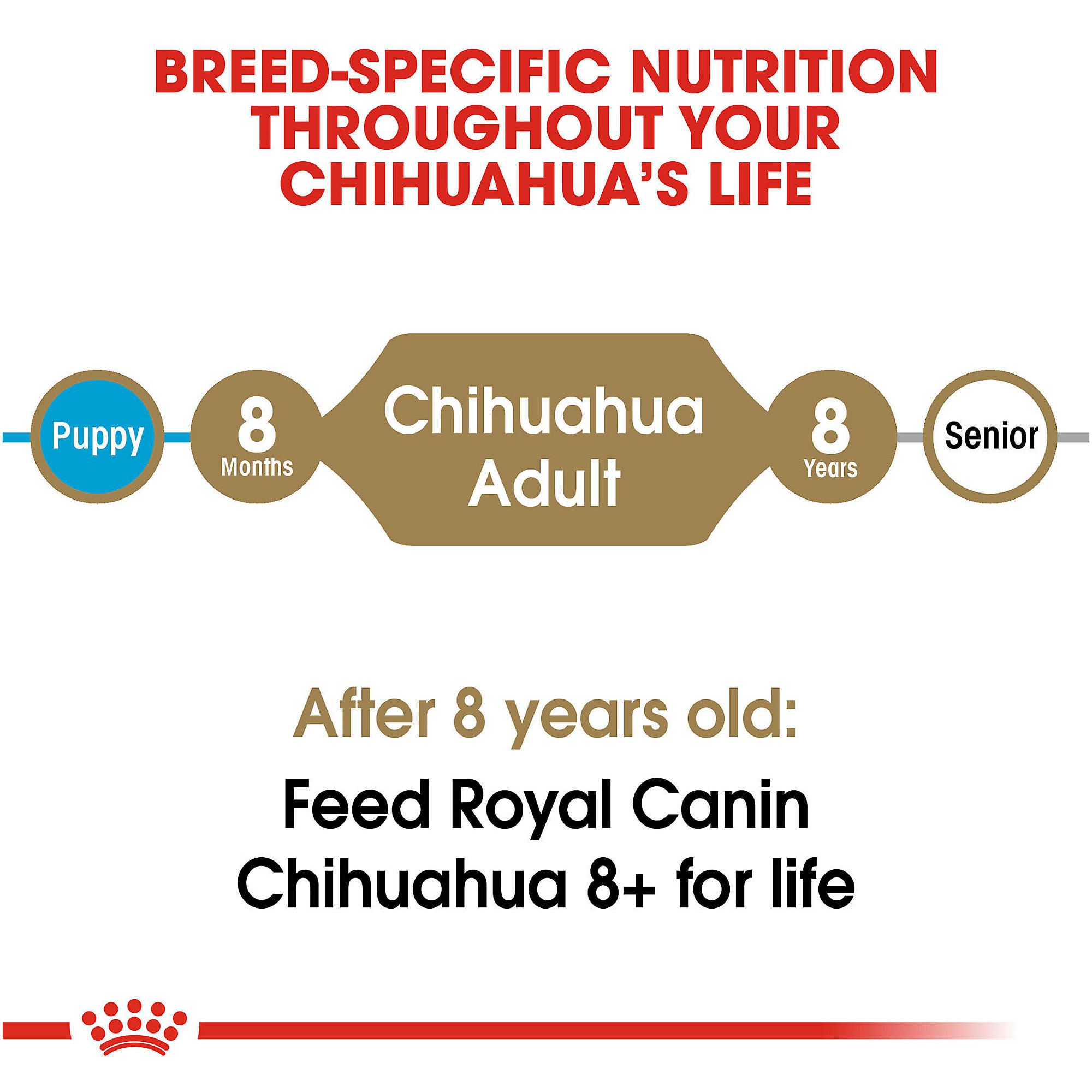 Royal canin chihuahua adult dry best sale dog food