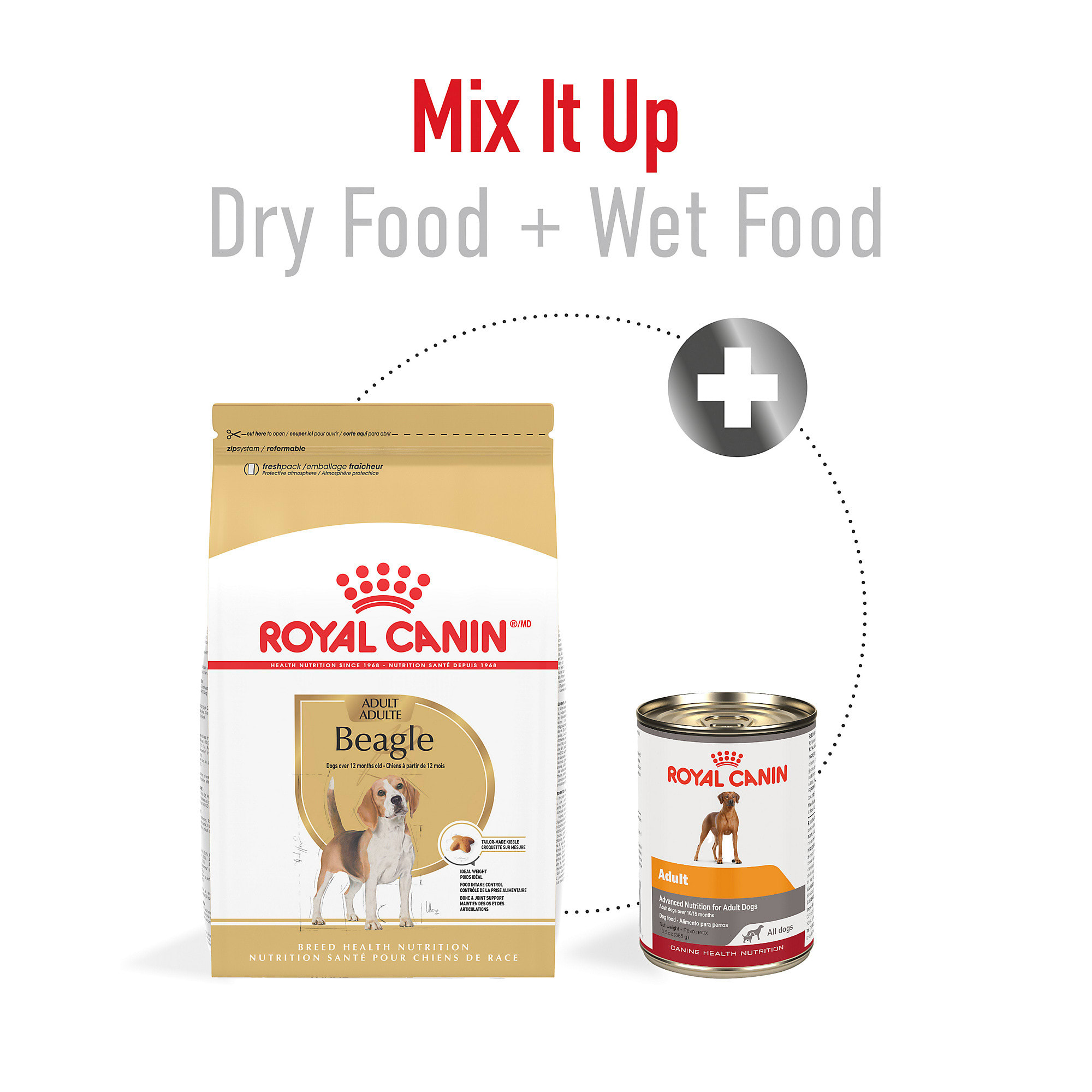 What is Best Dog Food for an Adult Beagle: Top Healthy Picks