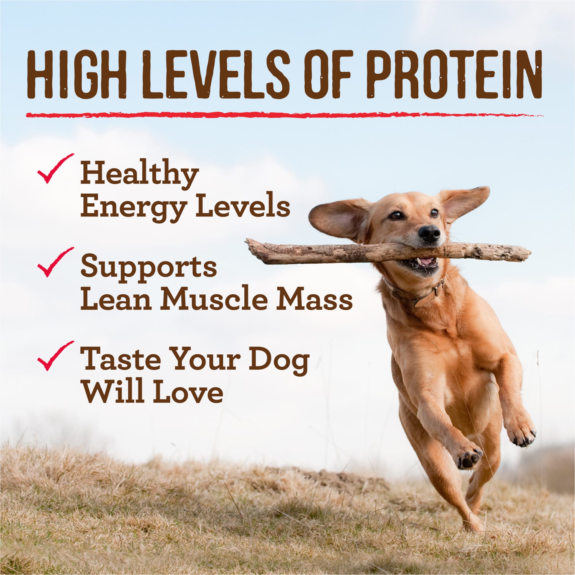 Merrick Grain Free Chuncky Colossal Chicken Dinner Canned Dog Food