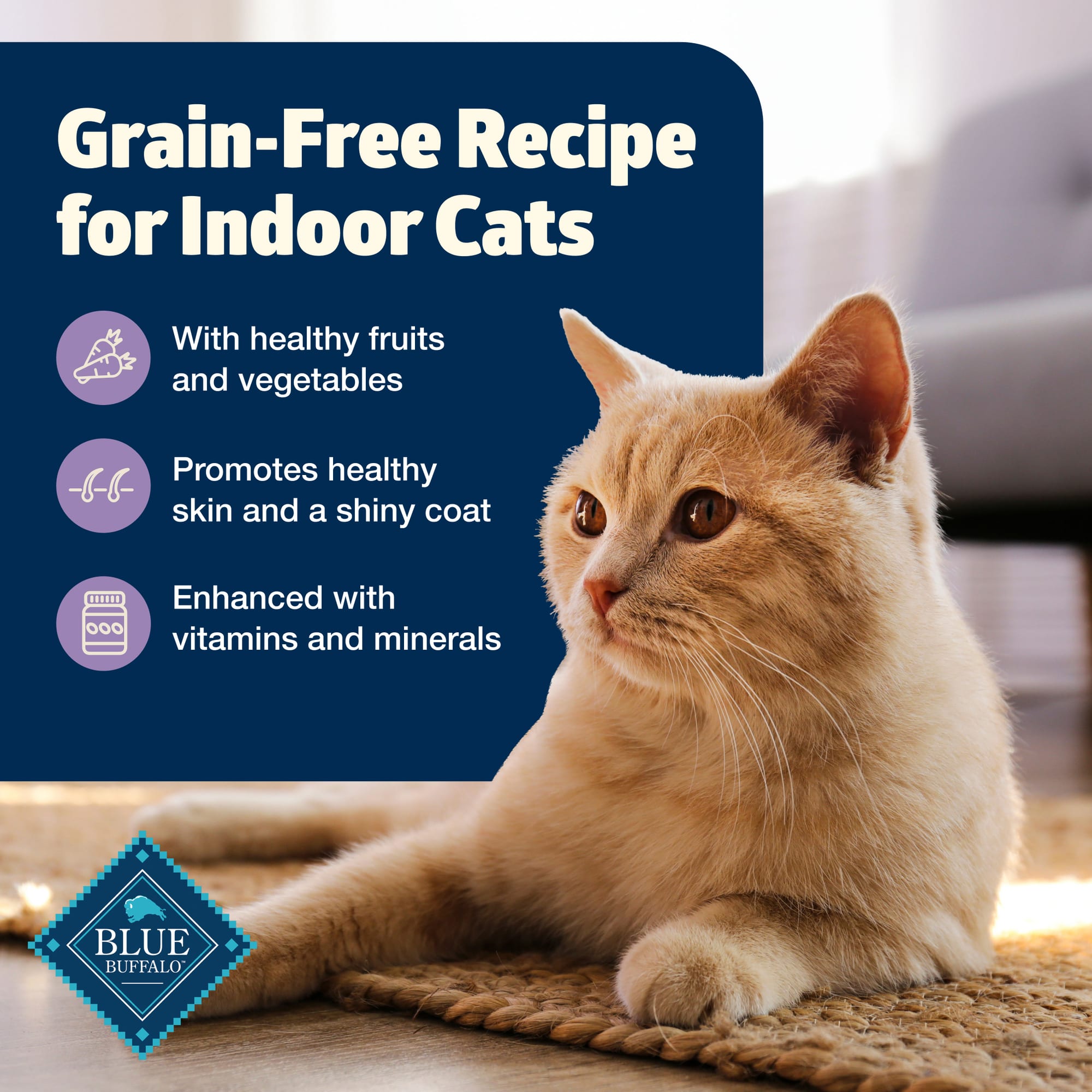 Blue Buffalo Freedom Grain-Free Chicken Indoor Cat Food, 5.5 oz, 24 Ct. |  Petco