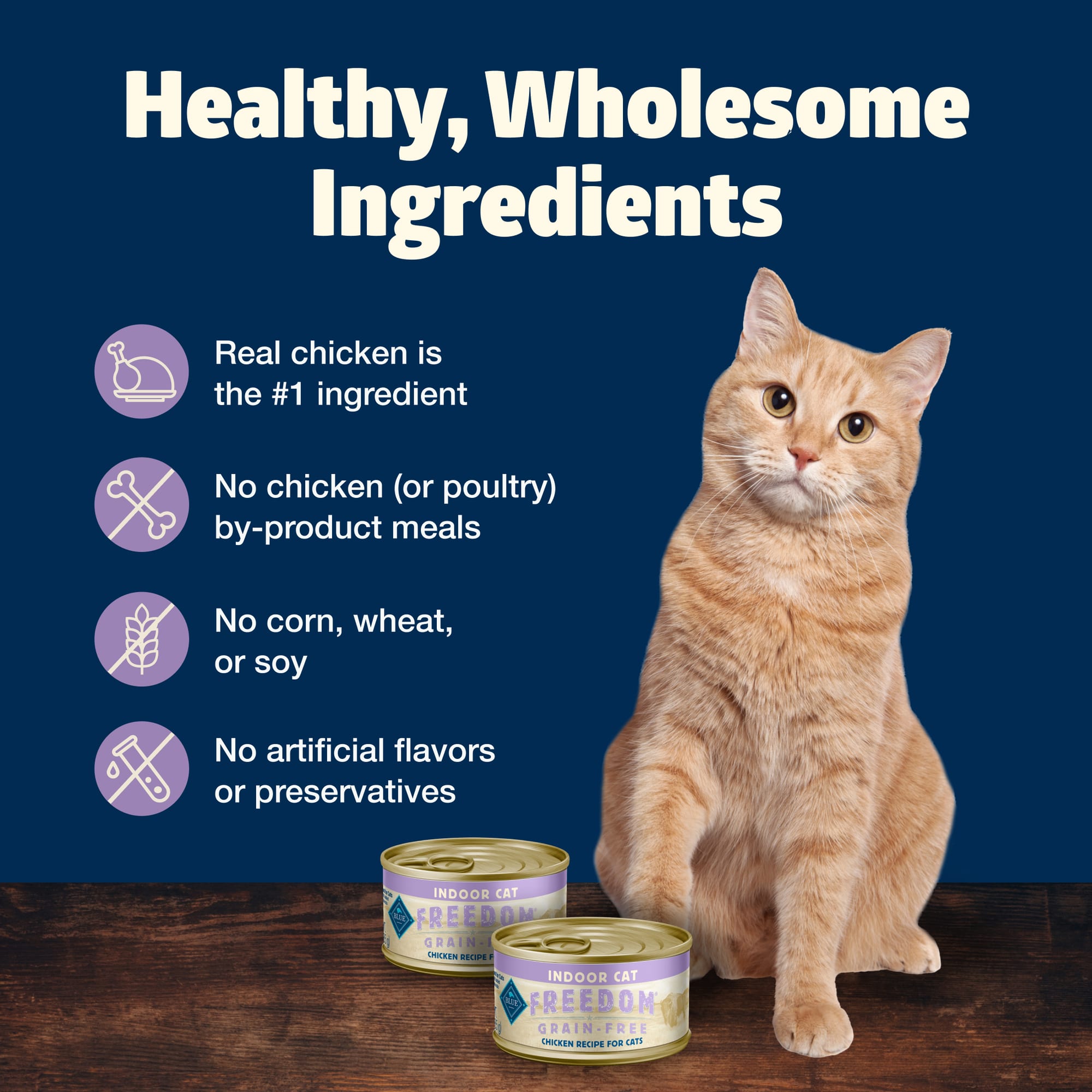 Blue Buffalo Freedom Grain-Free Chicken Indoor Cat Food, oz - Main Image