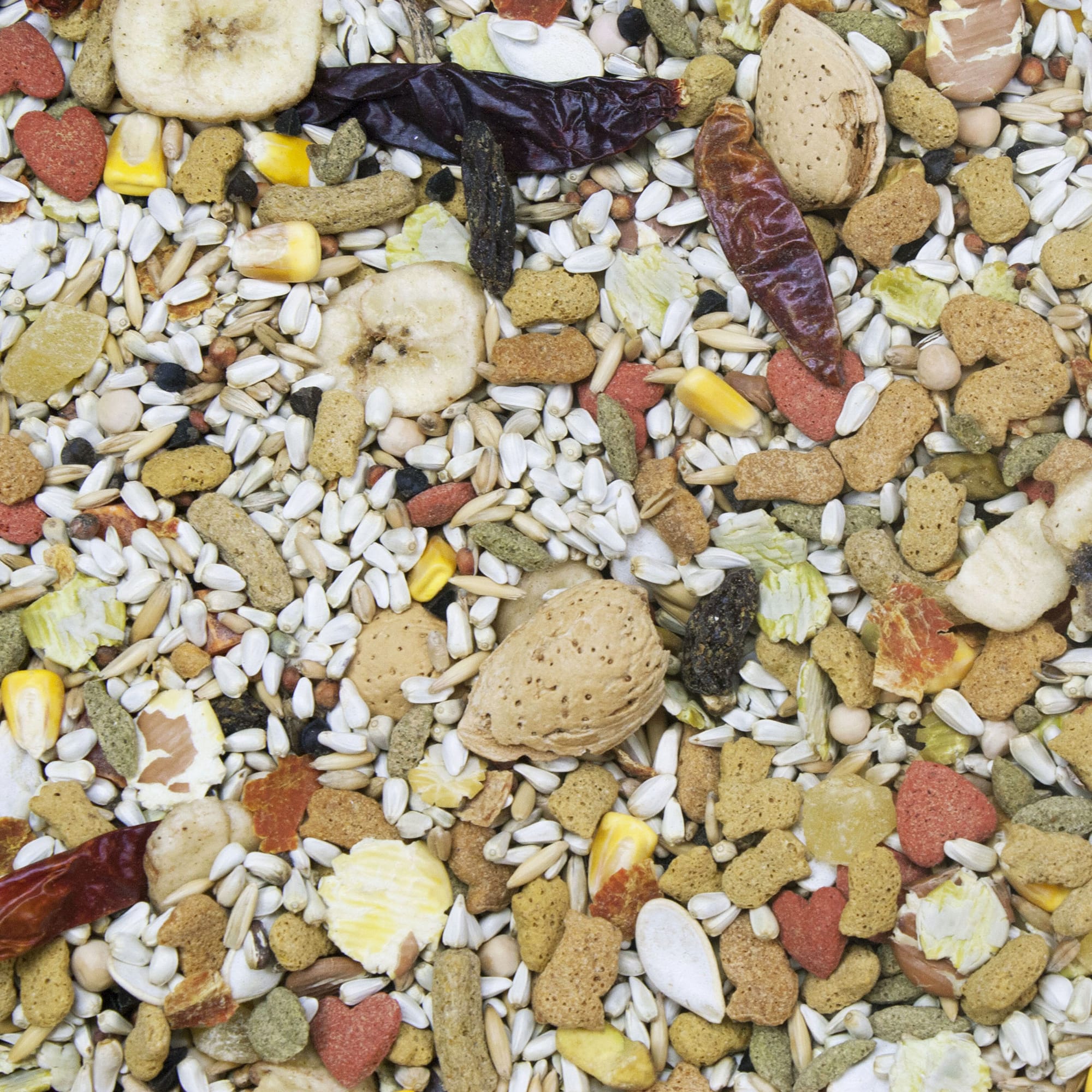 Higgins Vita Seed California Blend for Parrots, lb Petco