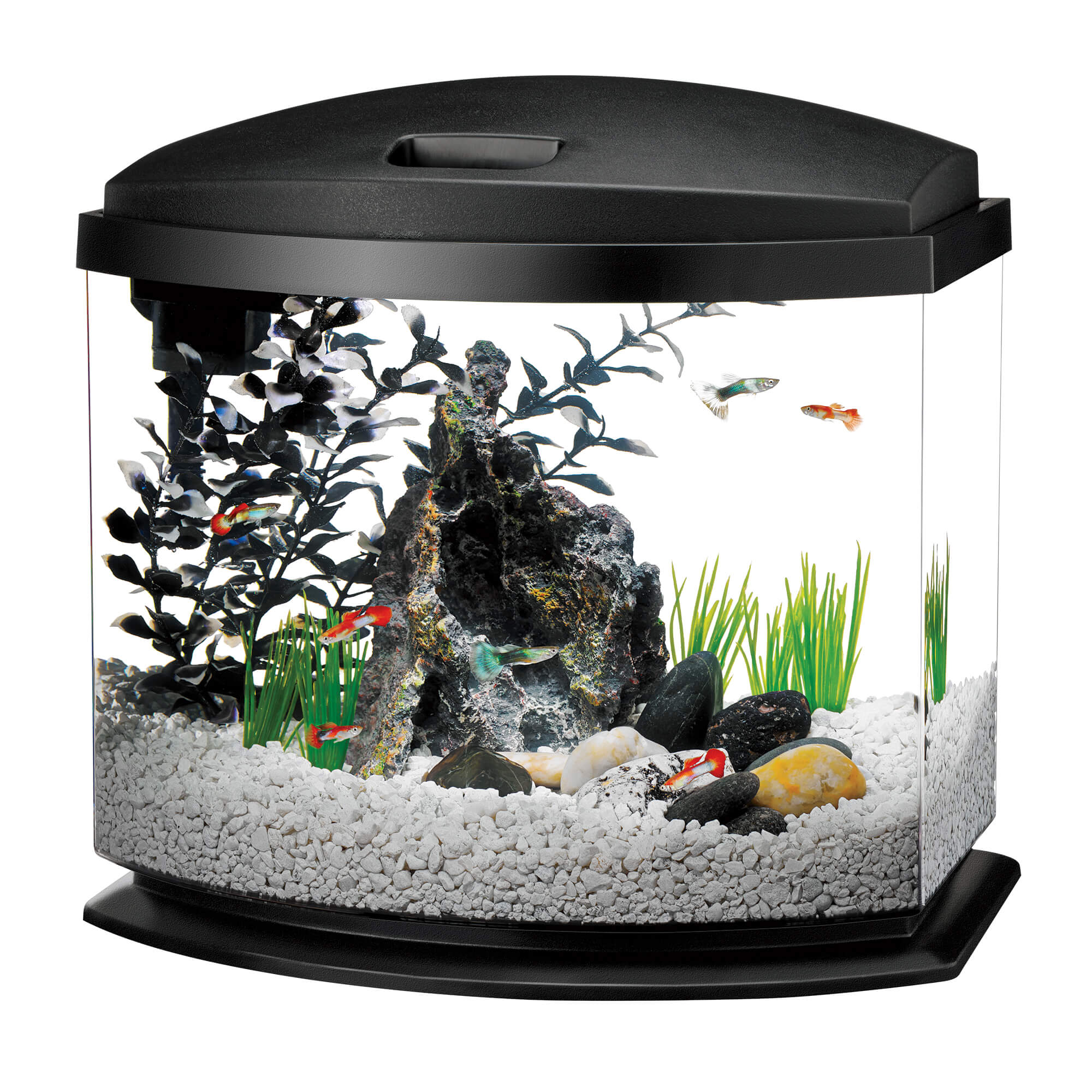 Aqueon 5 Gallon Minibow Led Desktop Fish Aquarium Kit Black Petco