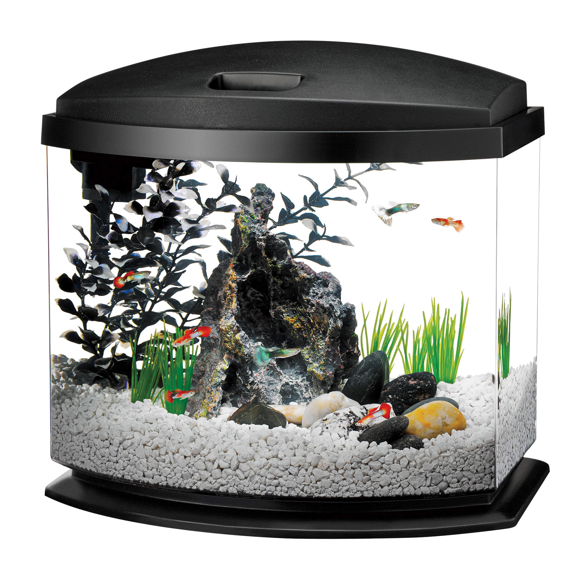 Aqueon 5 Gallon MiniBow LED Desktop 