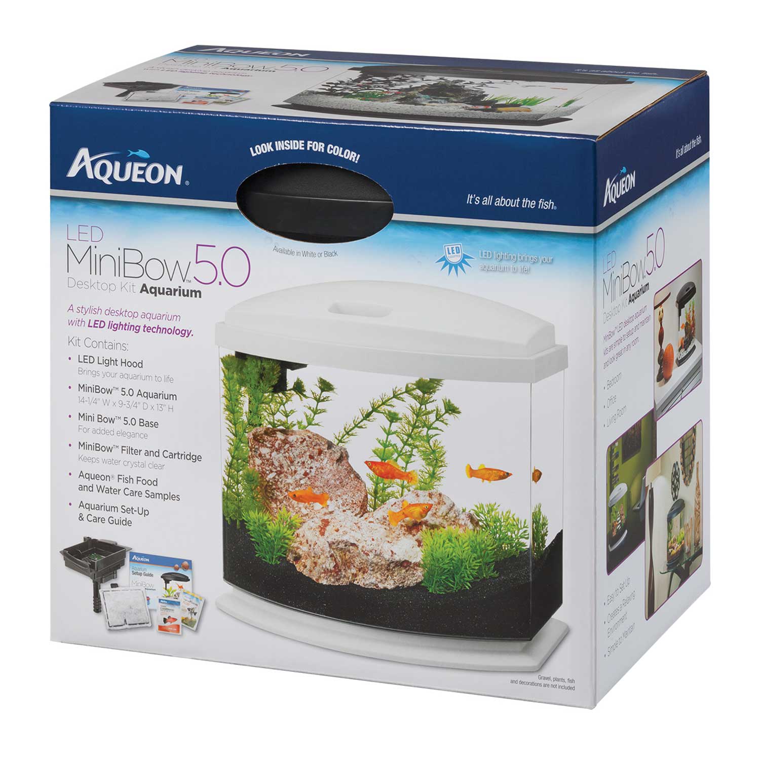 5 gallon aquarium kit