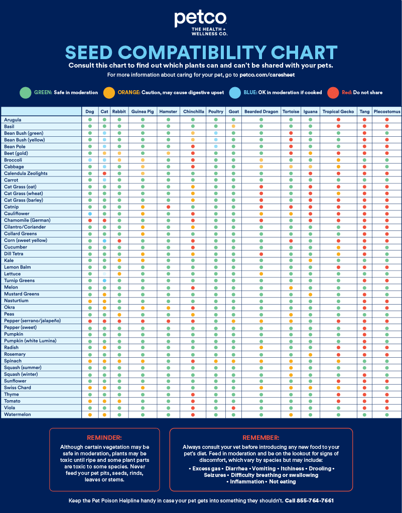 Seed Compatibility Chart