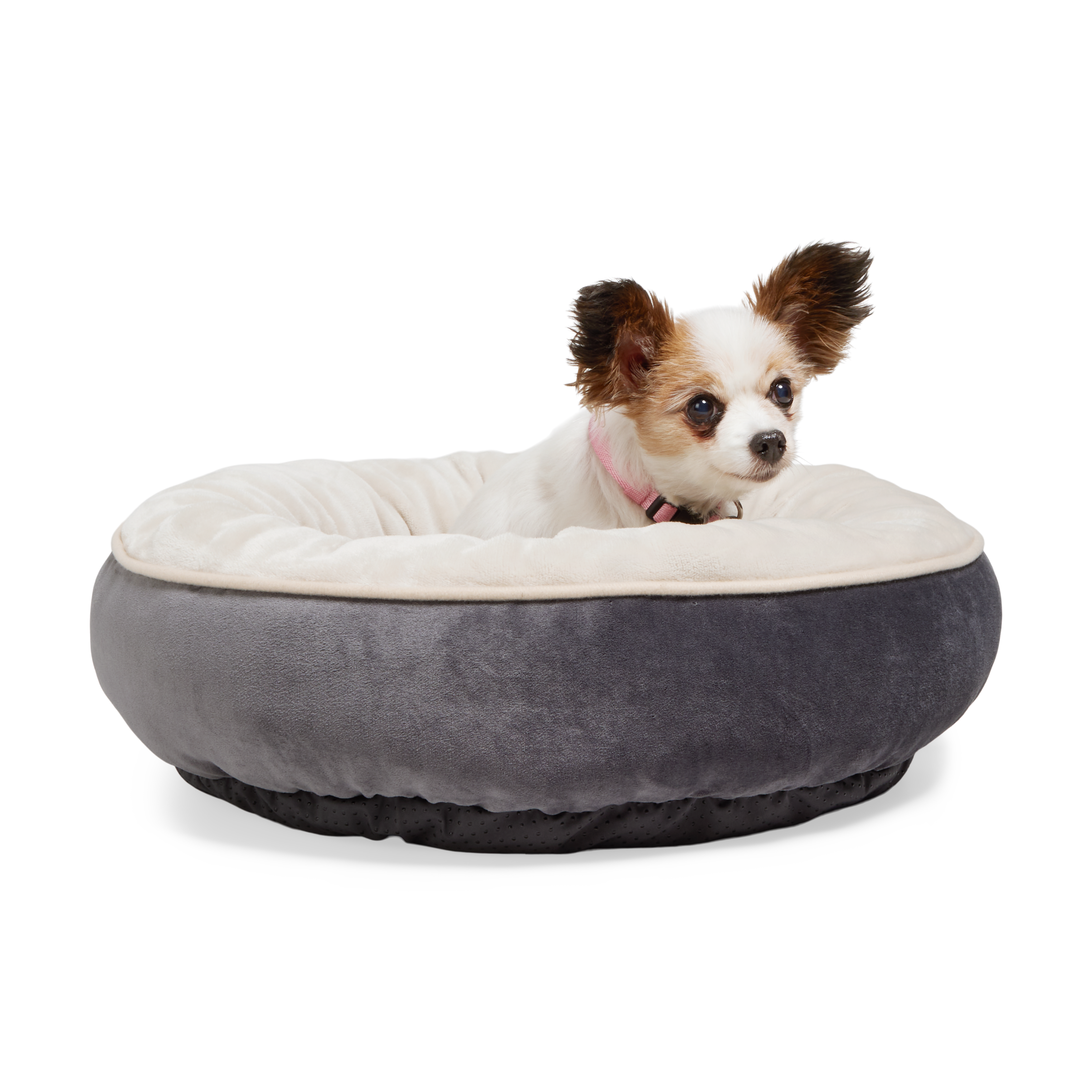 EveryYay Essentials Snooze Fest Cuddler Dog Bed, 20 L