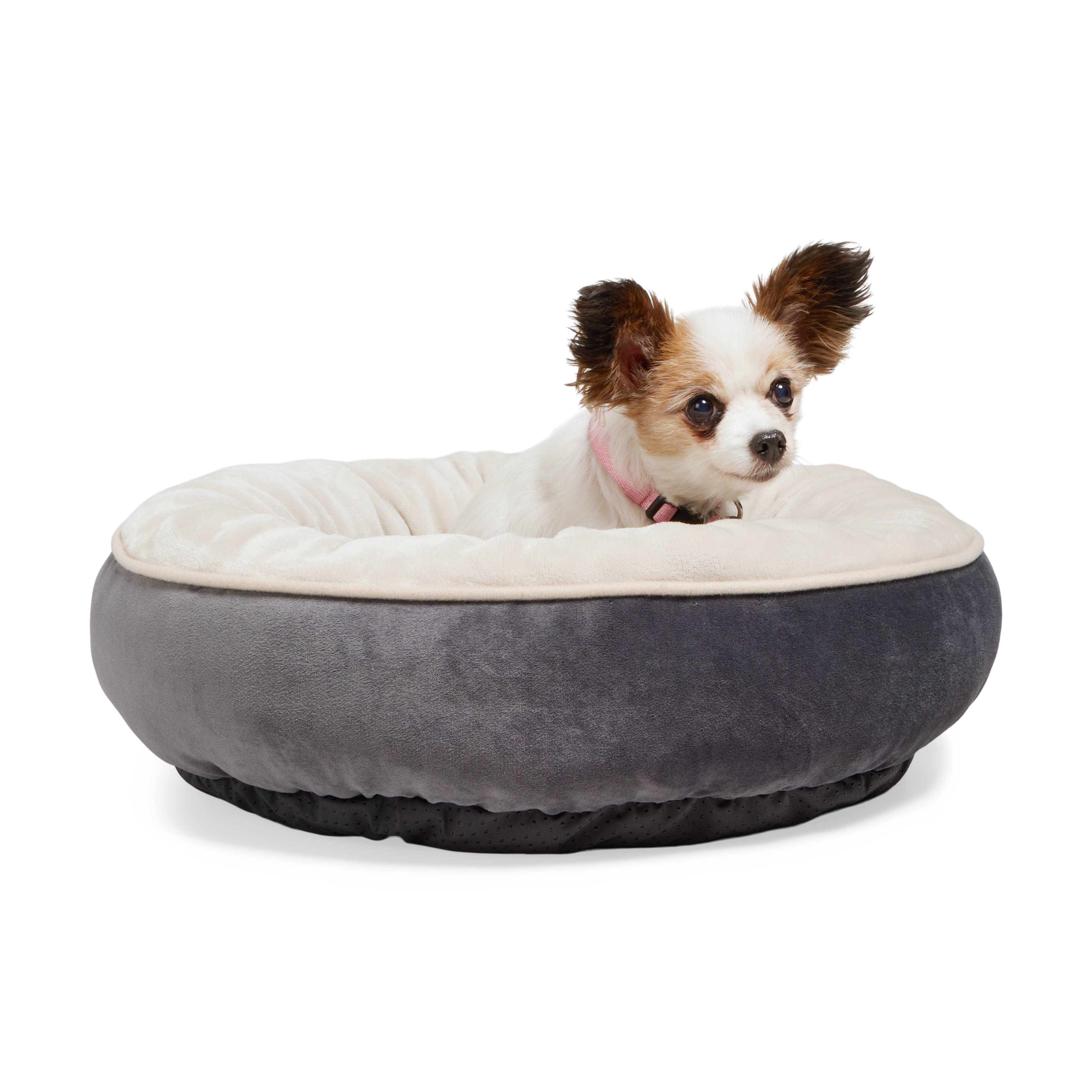 Petco heated dog beds best sale