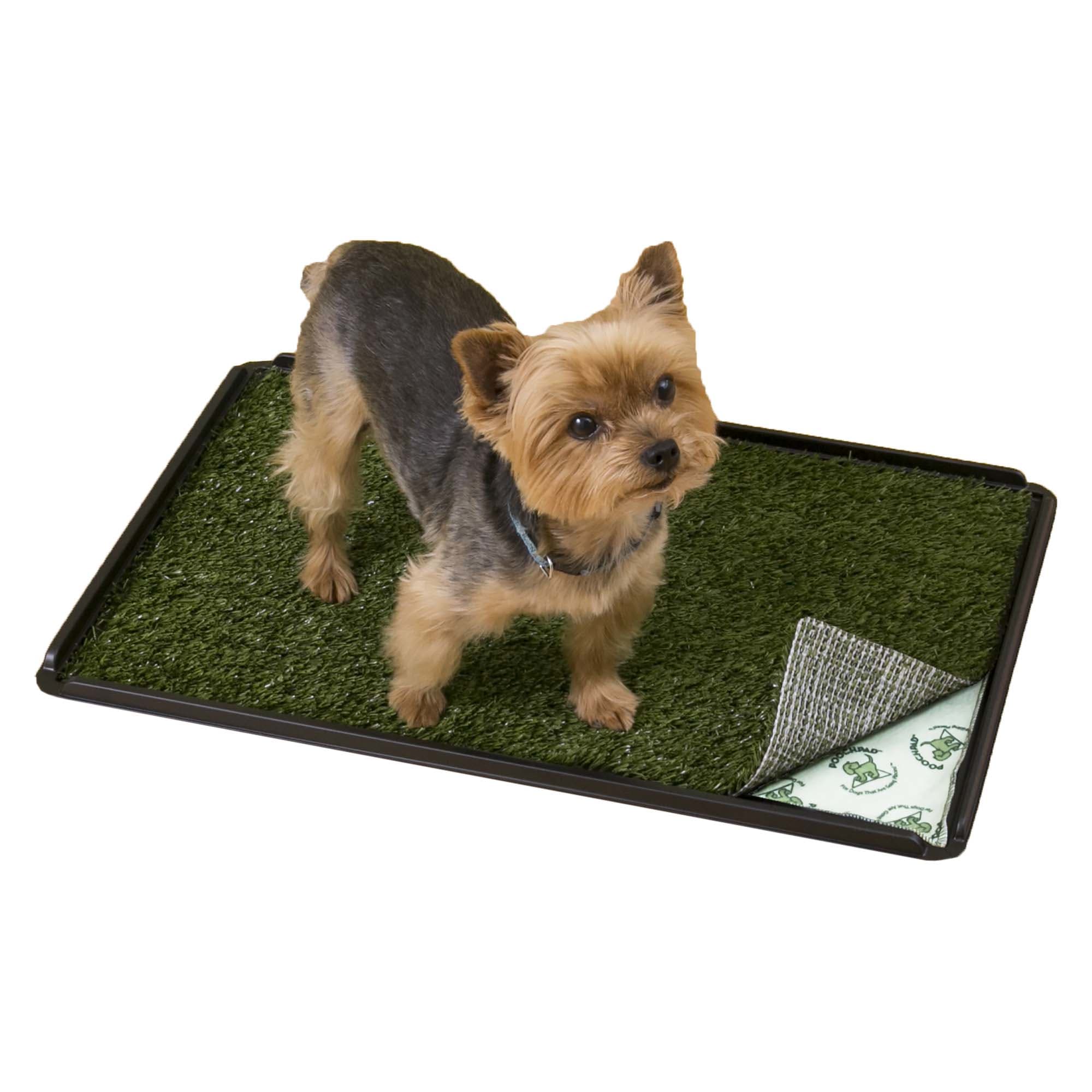  Pee Pad Holder for Small Dogs Indoor Potty Training Tray for  Little Puppy or Cat Litter Mat Only(Very Small) : Pet Supplies