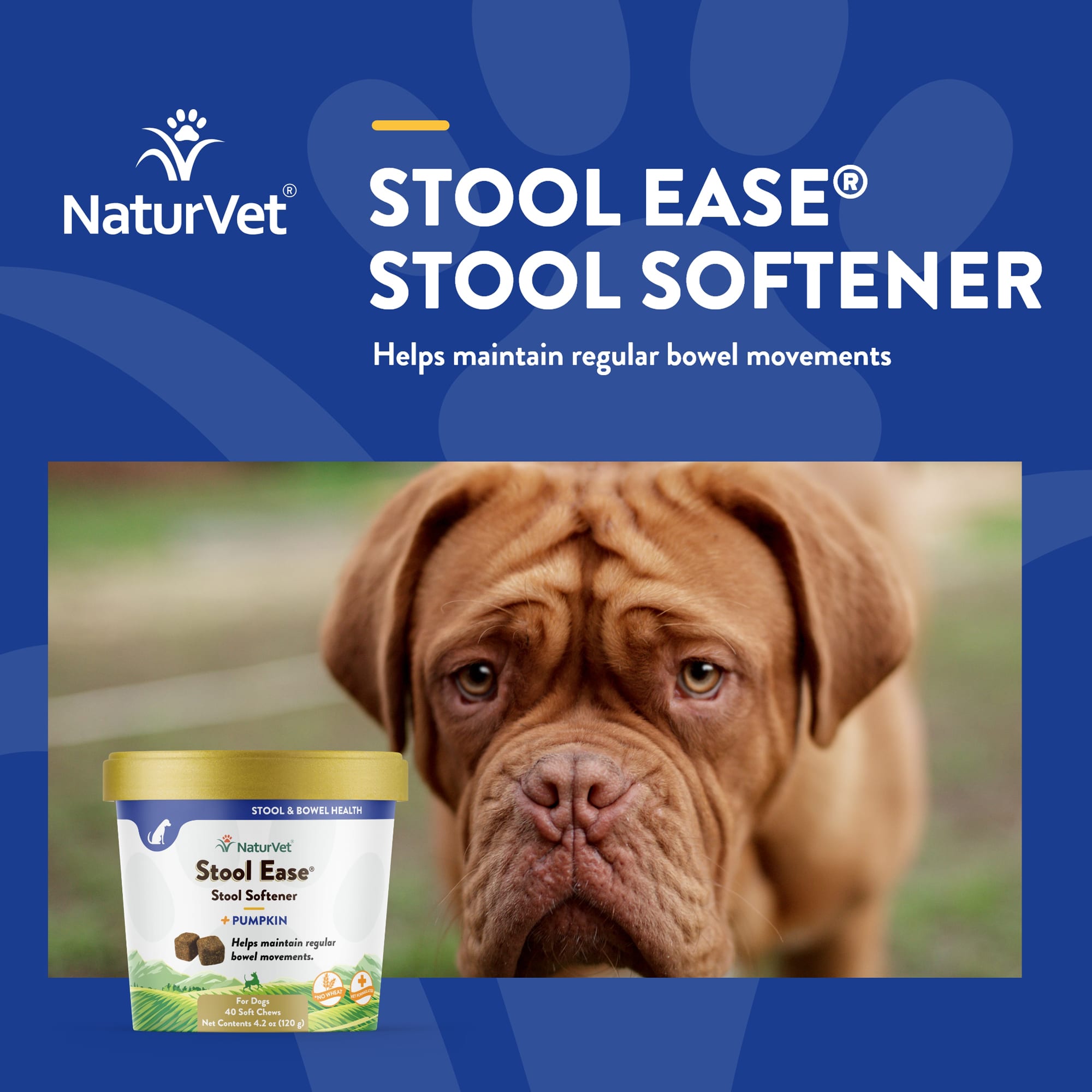 Orders can you give your dog stool softener