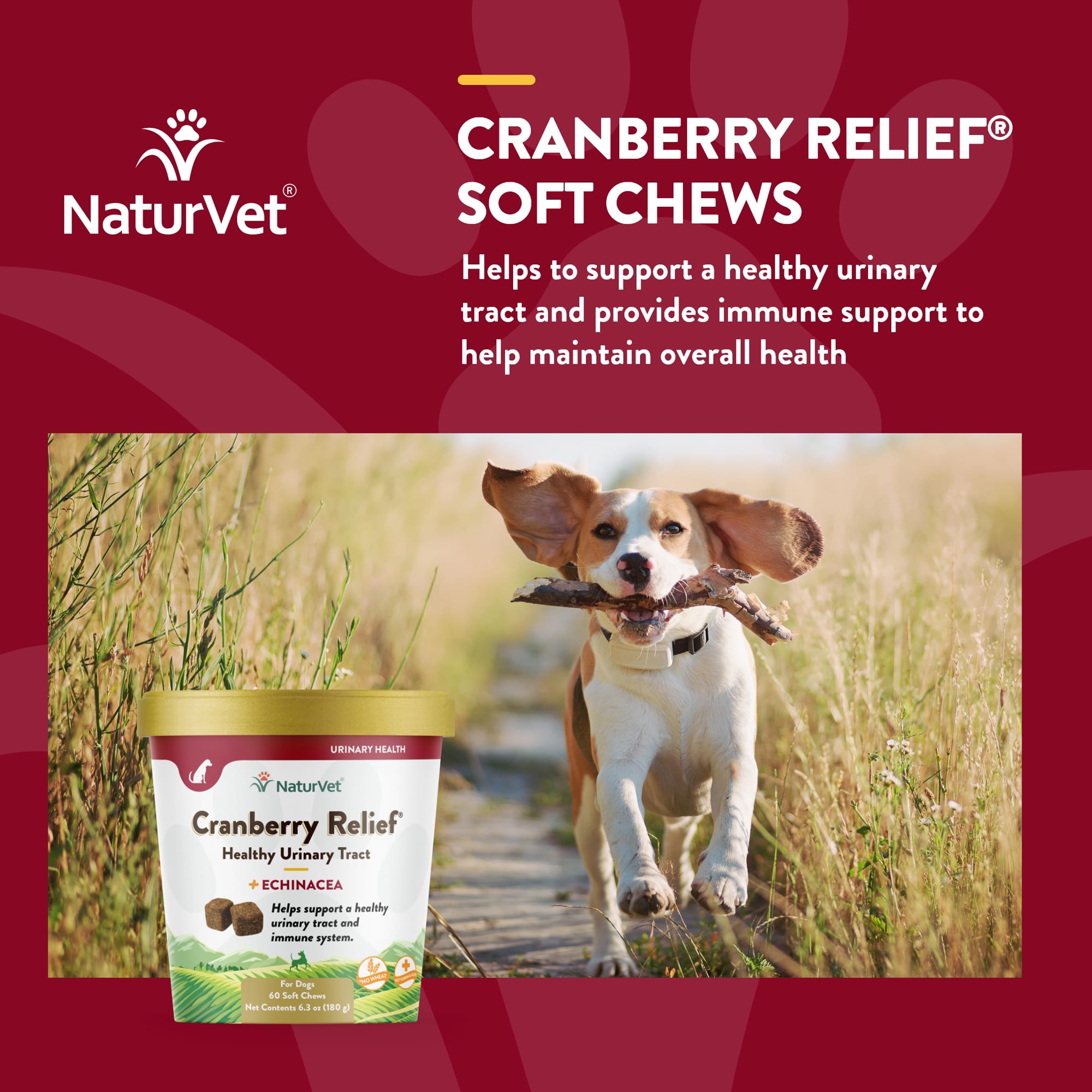 Petco 2025 cranberry relief