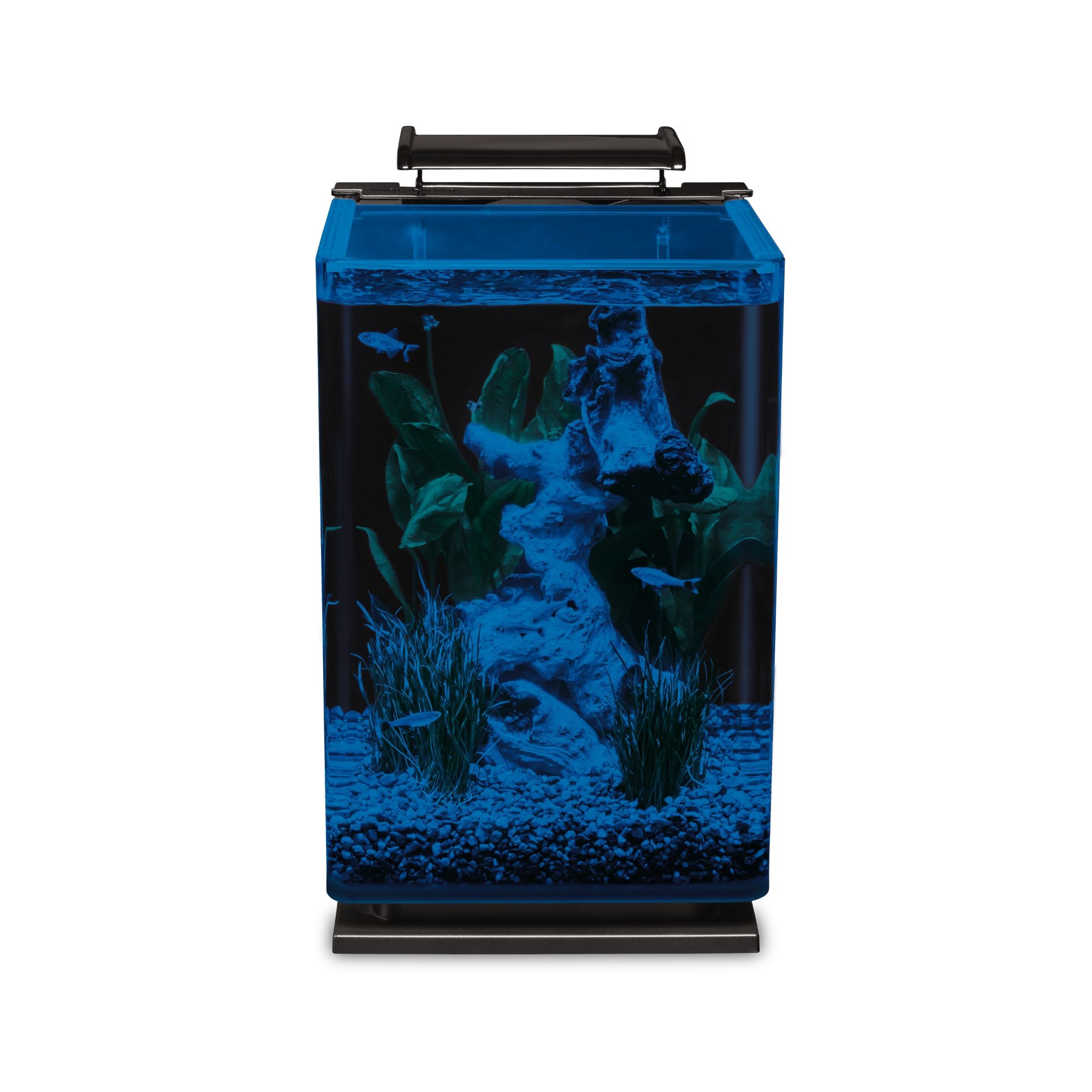 Marineland 5 Gallon Portrait Glass LED Aquarium Kit Petco