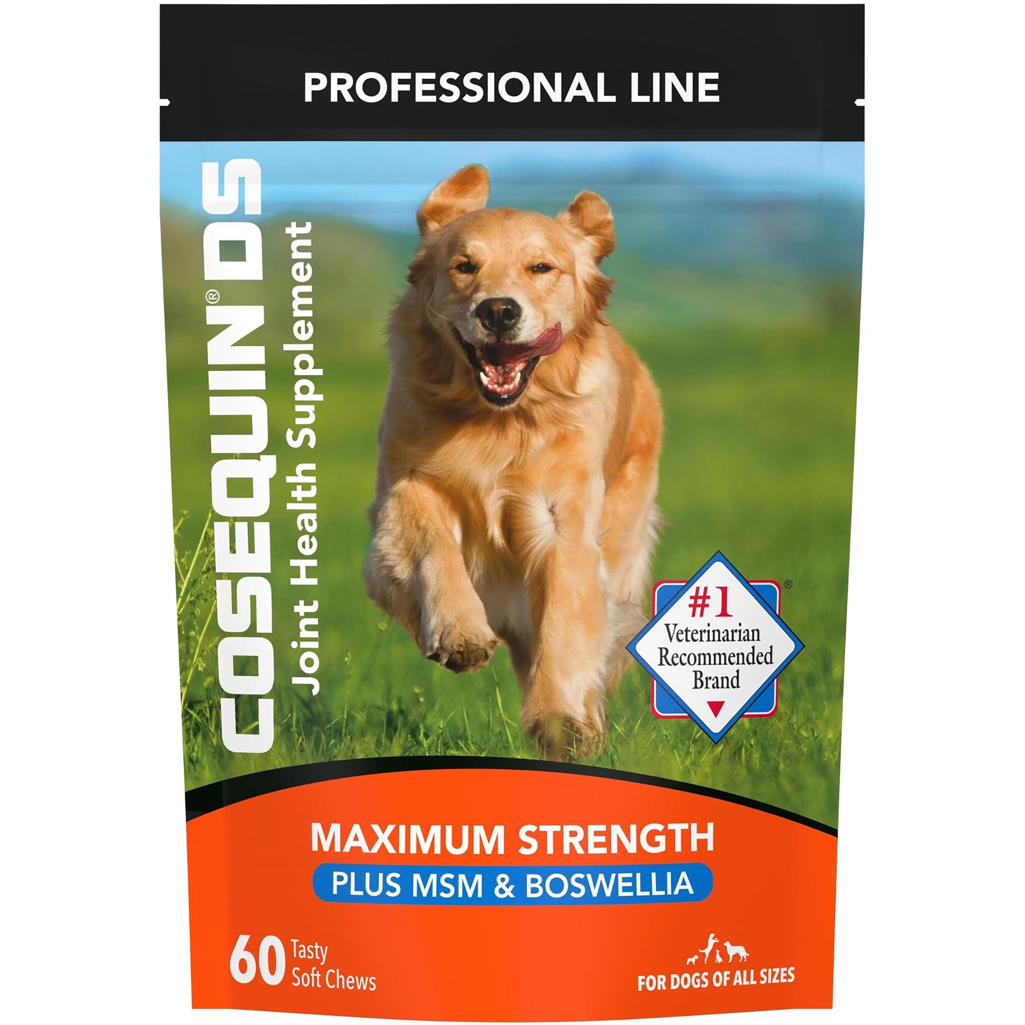 NUTRAMAX COSEQUIN DS Plus MSM Professional Line for Dogs, Count of 60