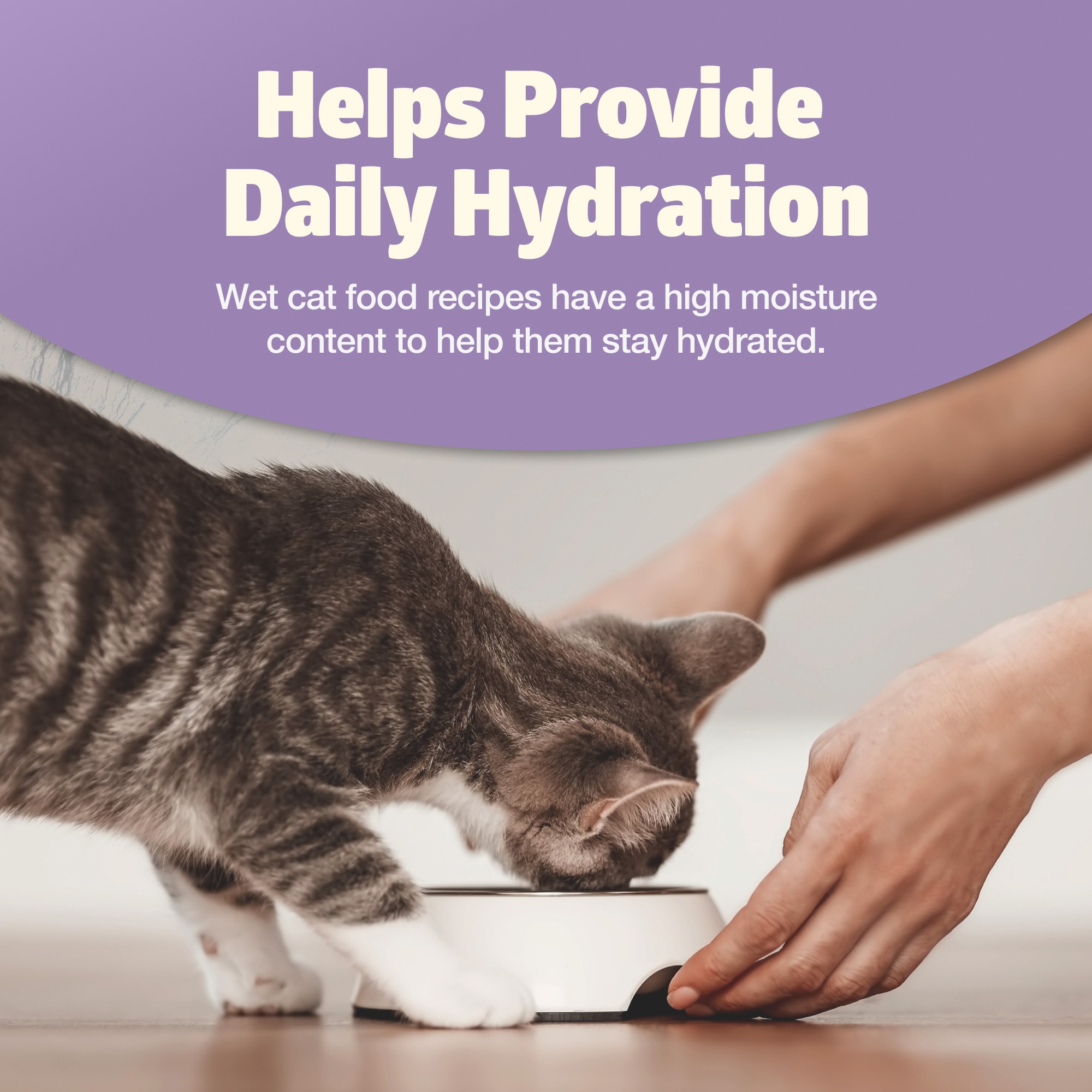automated litter box cats love PurrTek Self-Cleaning Litter Box Gray