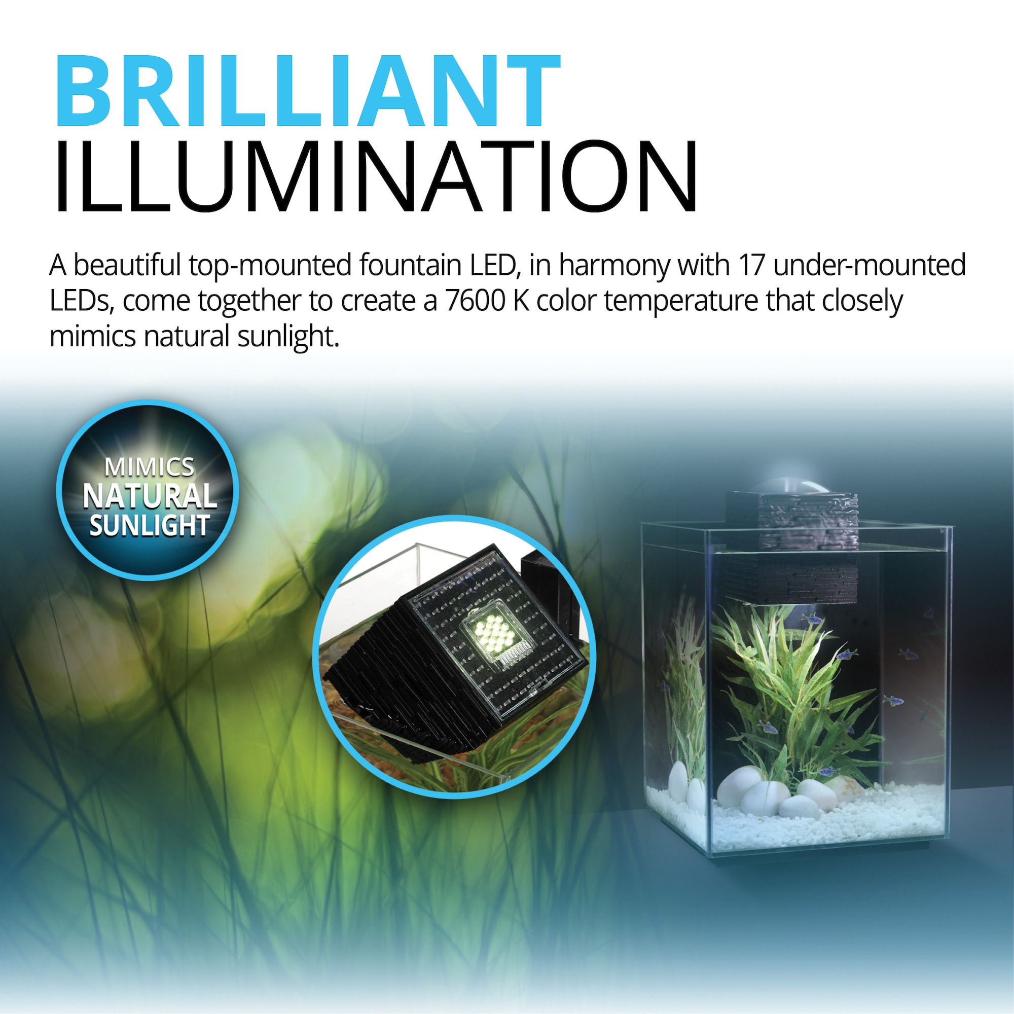 Fluval on sale chi accessories