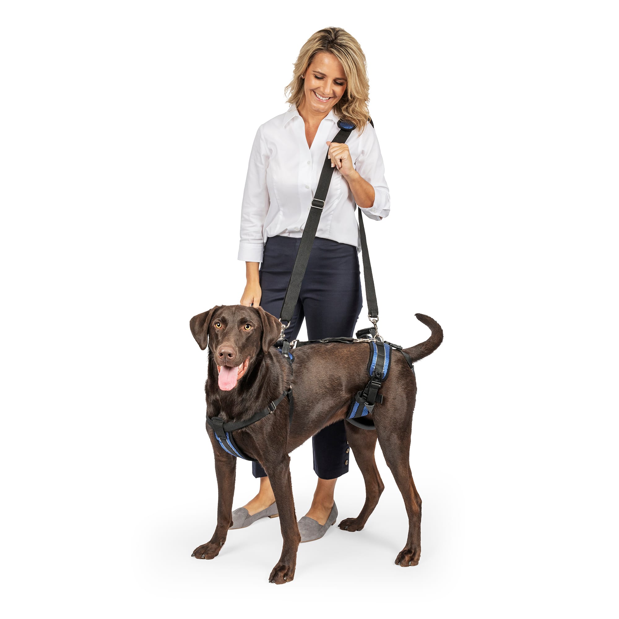 Petco dog lift outlet harness