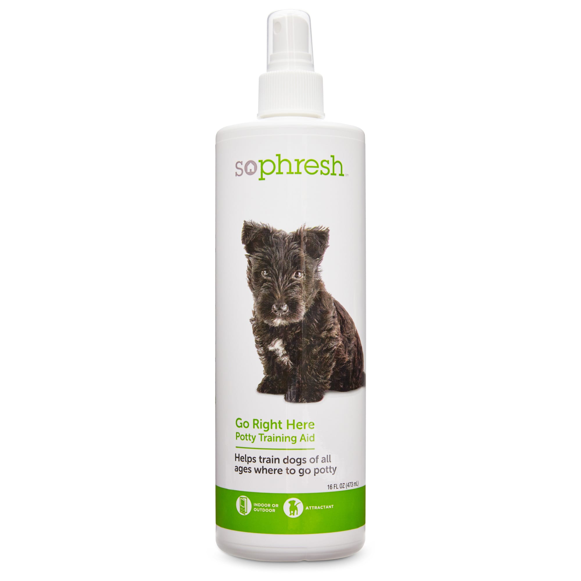 dog potty training spray