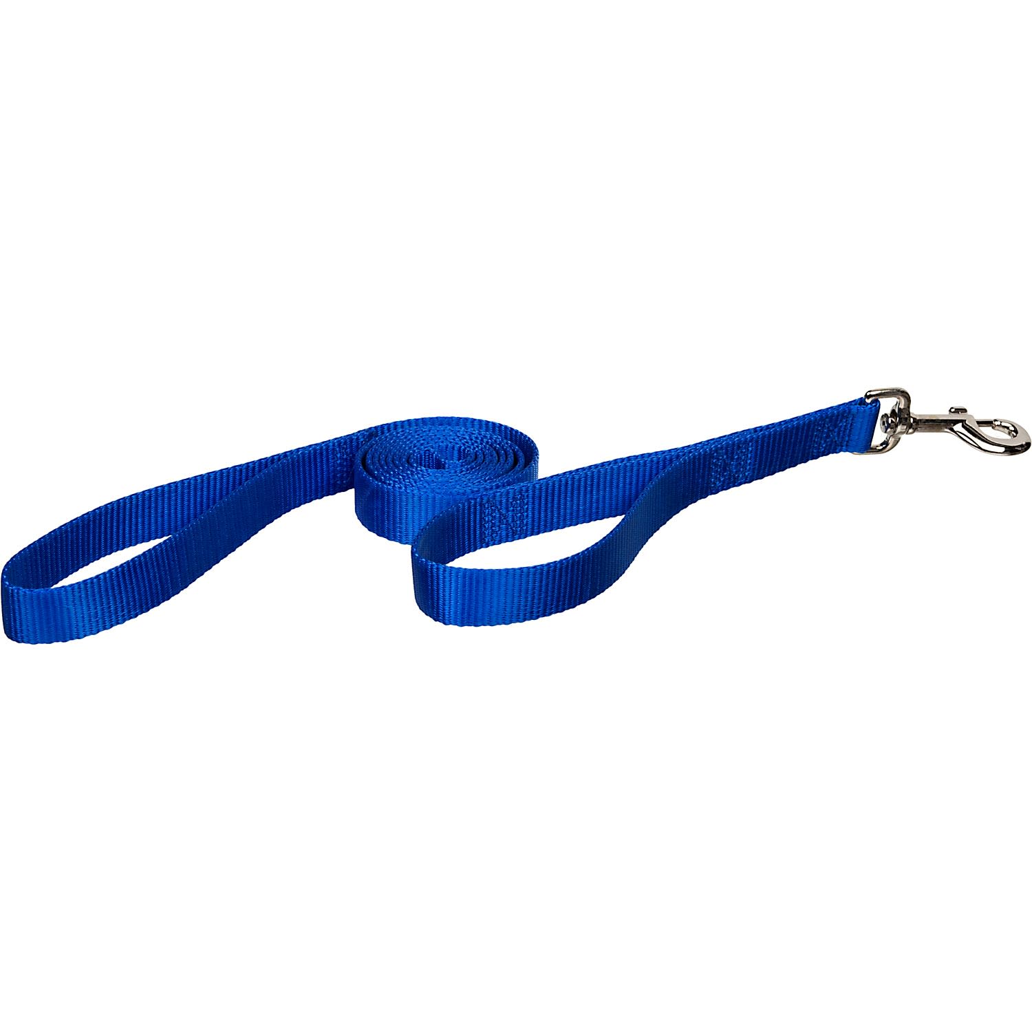 Petco store dog leash