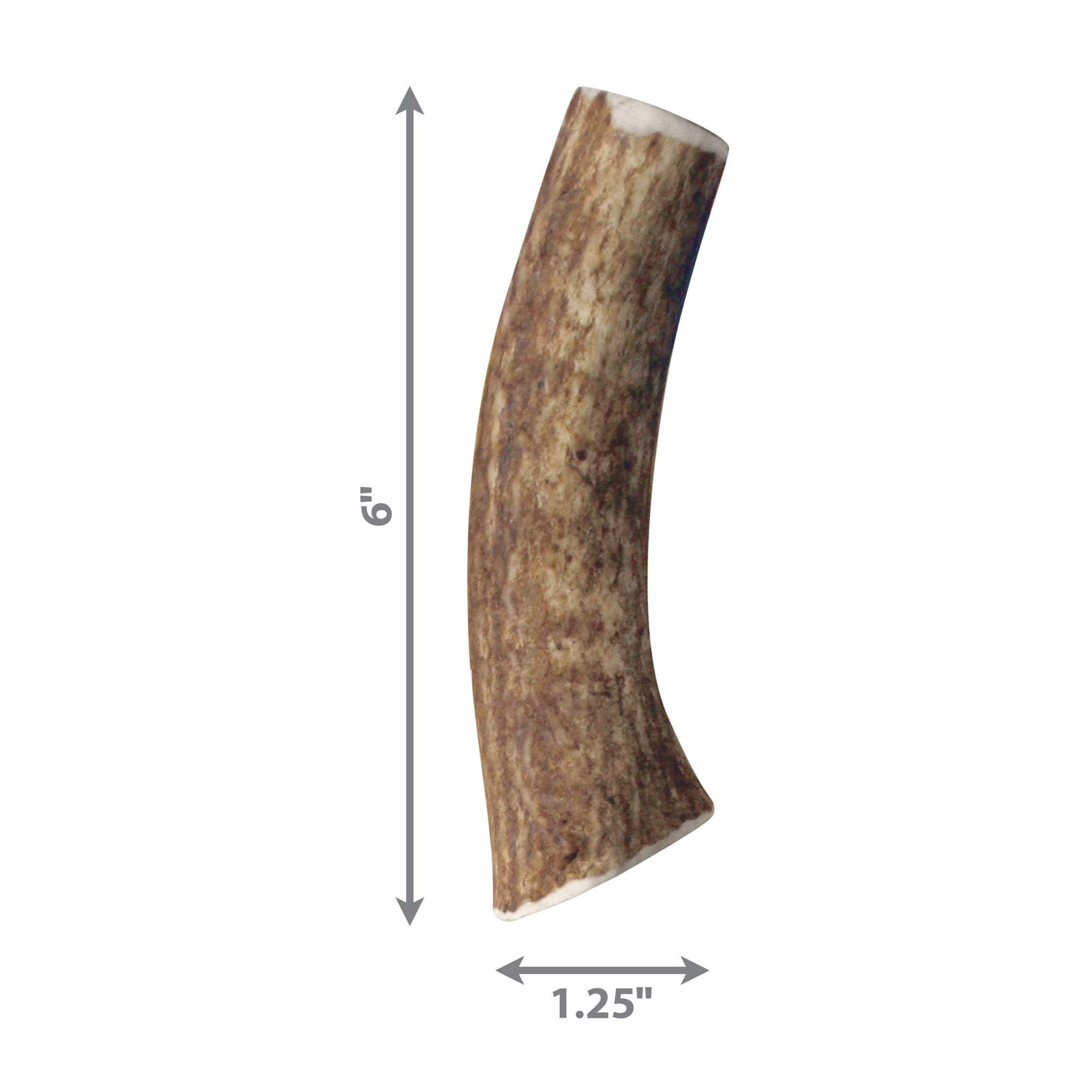 Kong wild hot sale antler whole