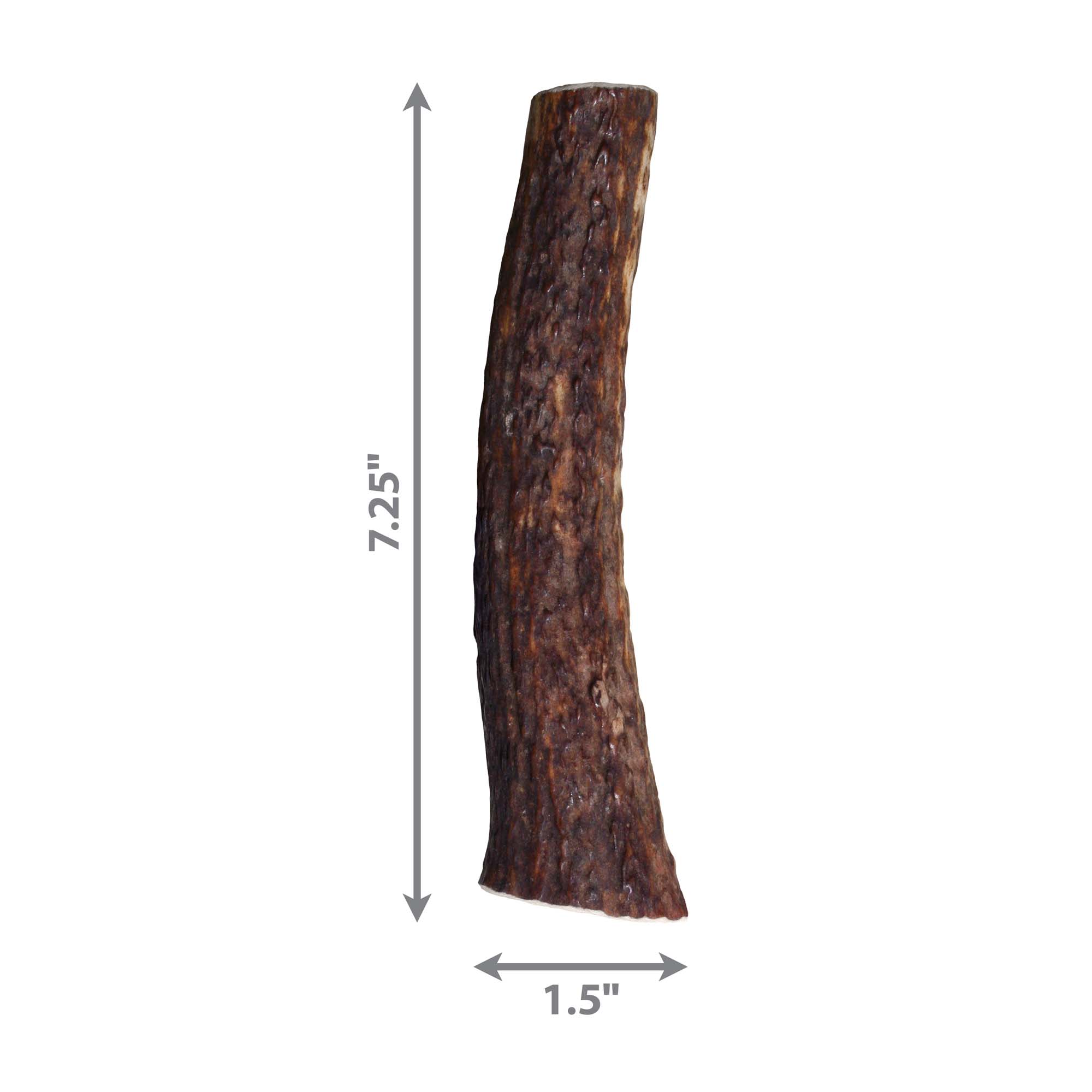 Kong wild whole outlet elk antler dog chew