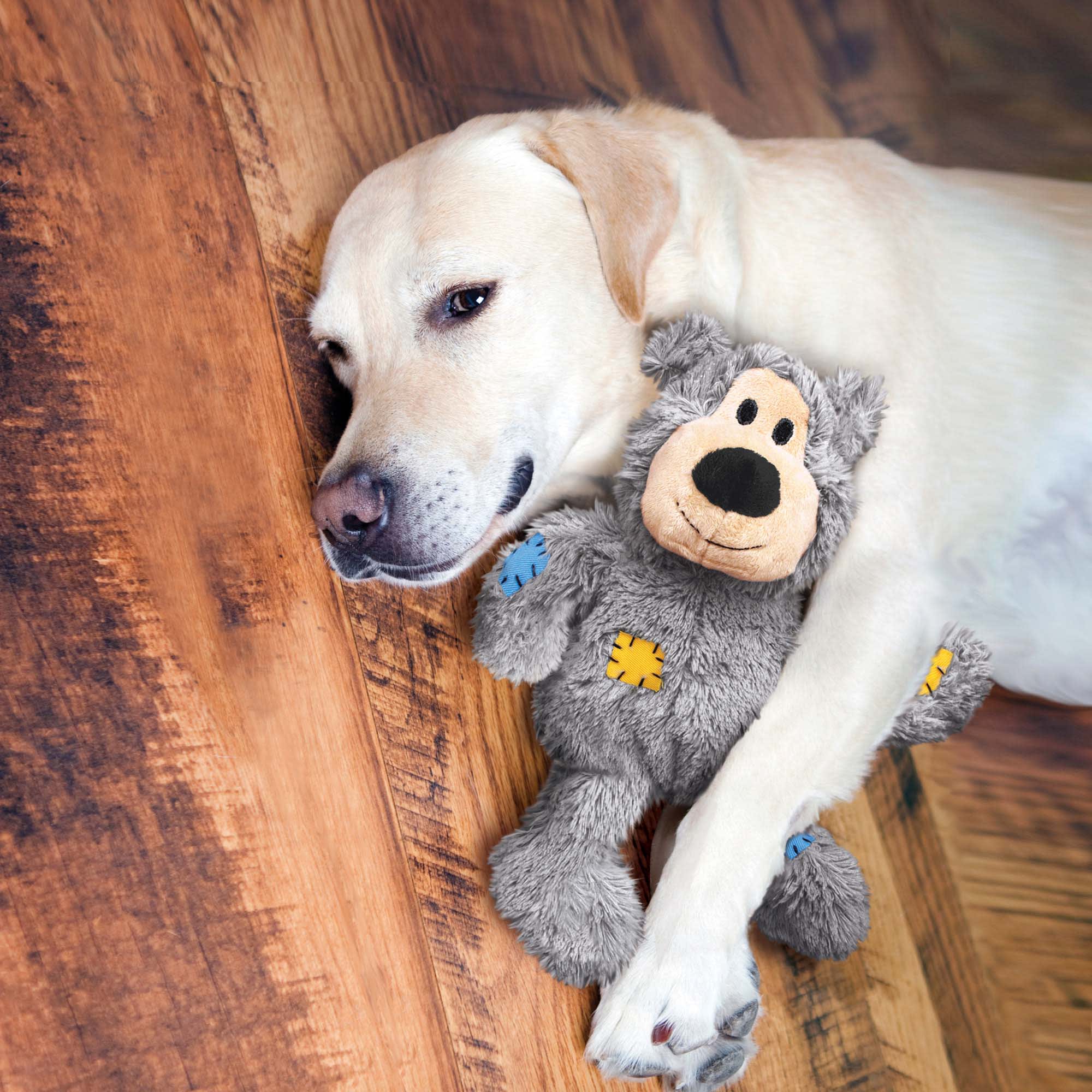 kong bear toy