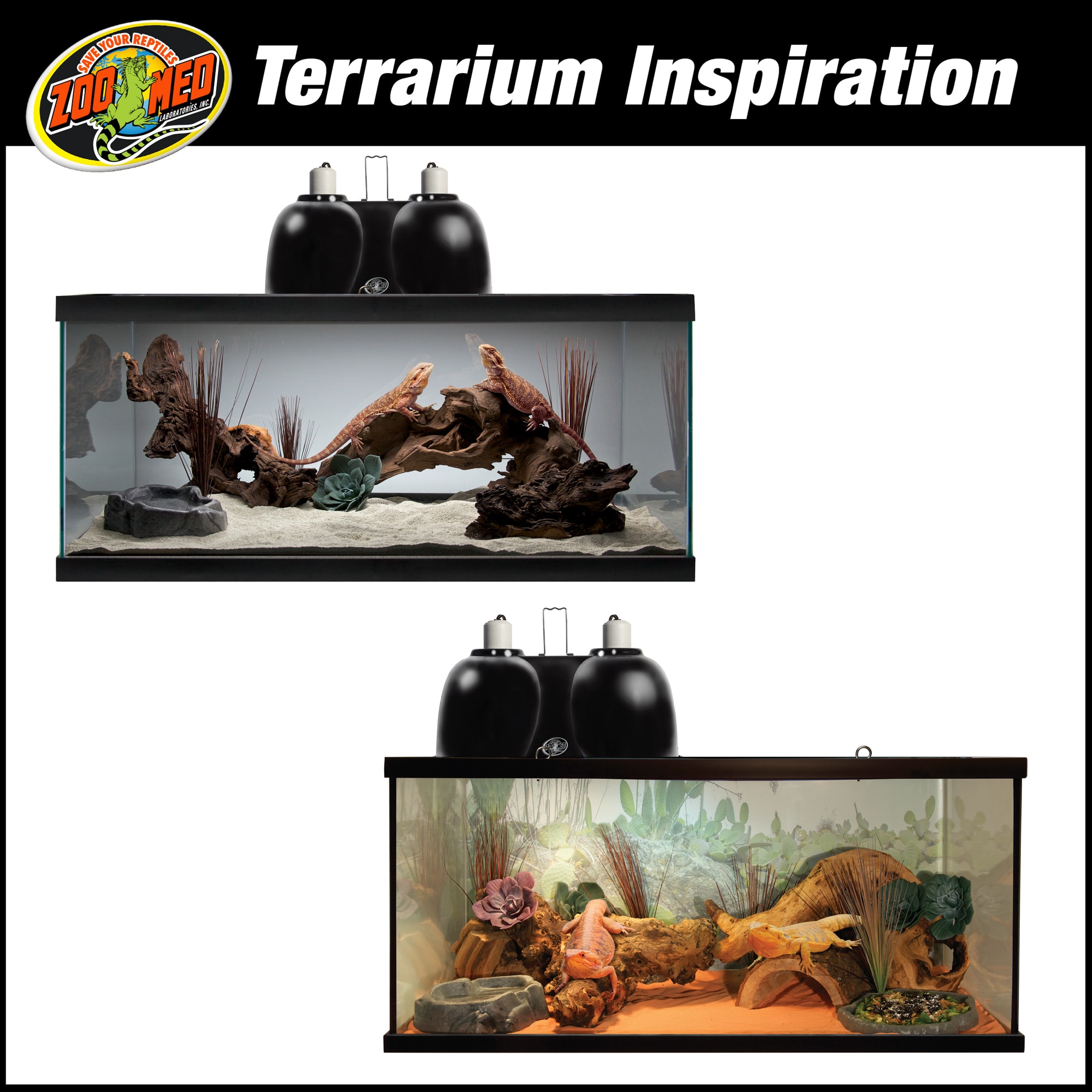 40 gallon reptihabitat 2024 bearded dragon kit