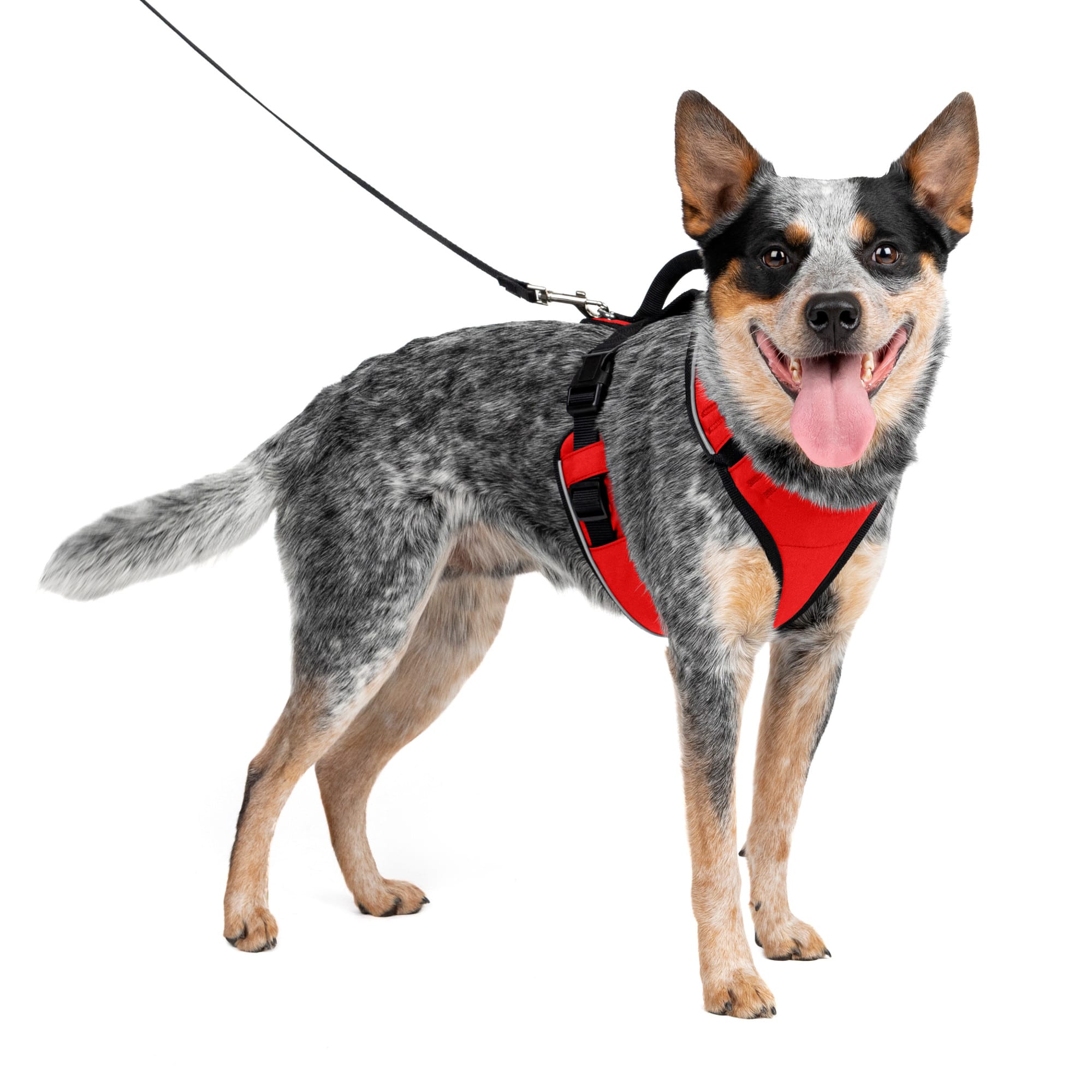 Walk in sync outlet harness