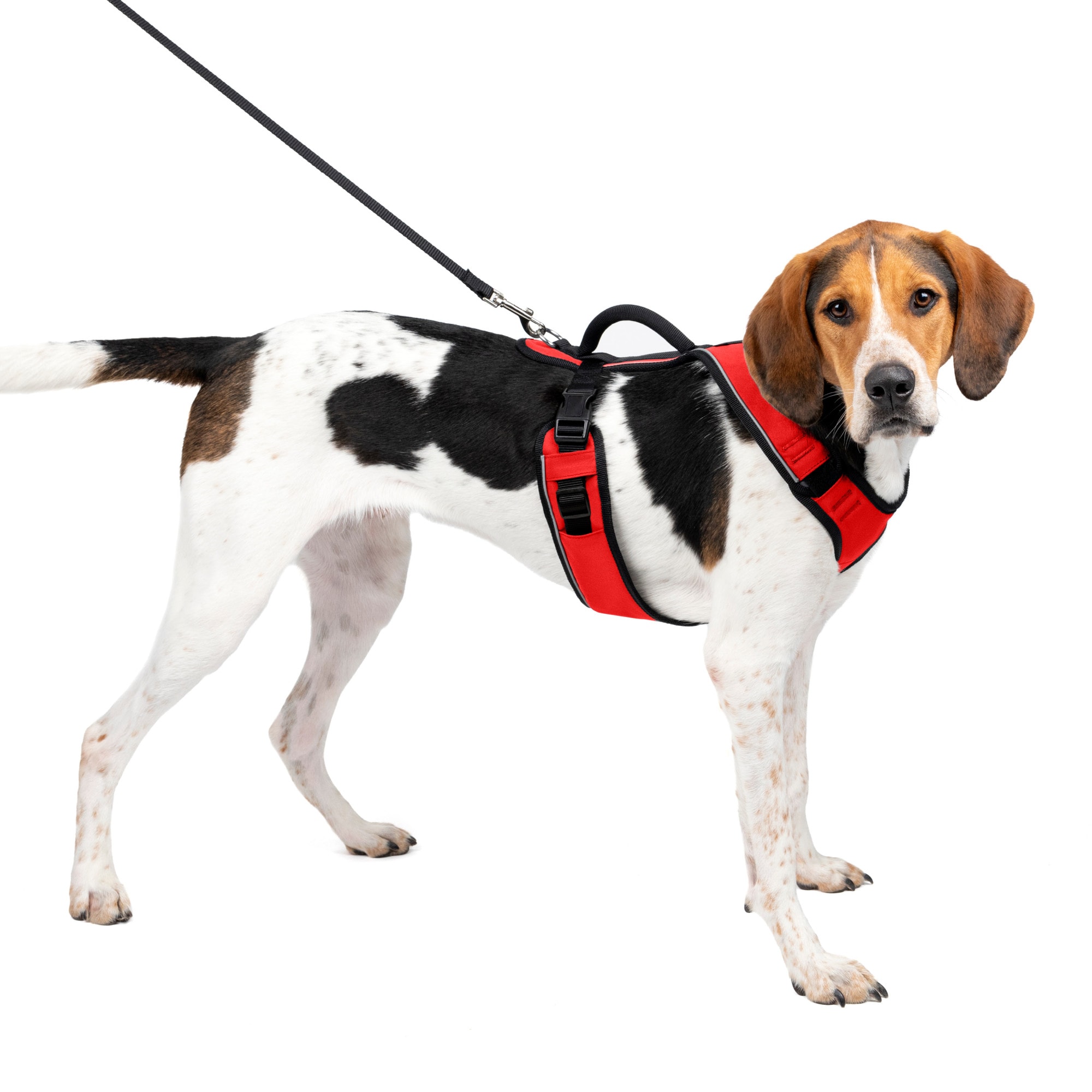 PetSafe EasySport Large Red Dog Harness 28 42 Girth   2333423 Center 1