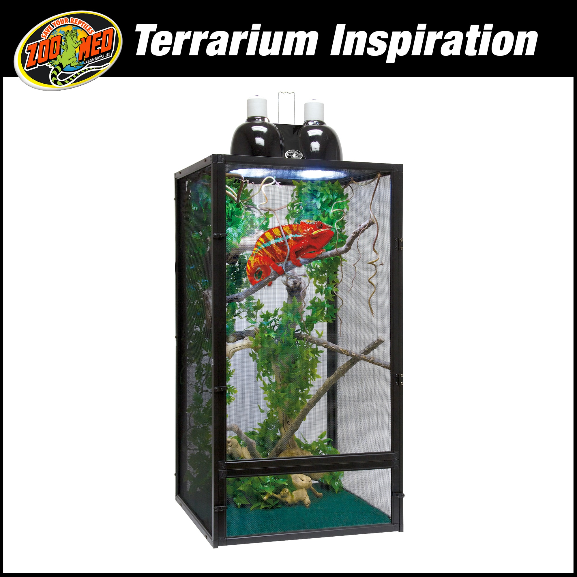 Chameleon discount terrarium kit