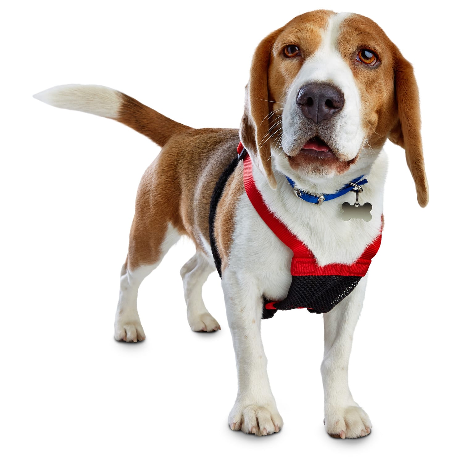 Good2Go Red No Pull Dog Harness, Large 