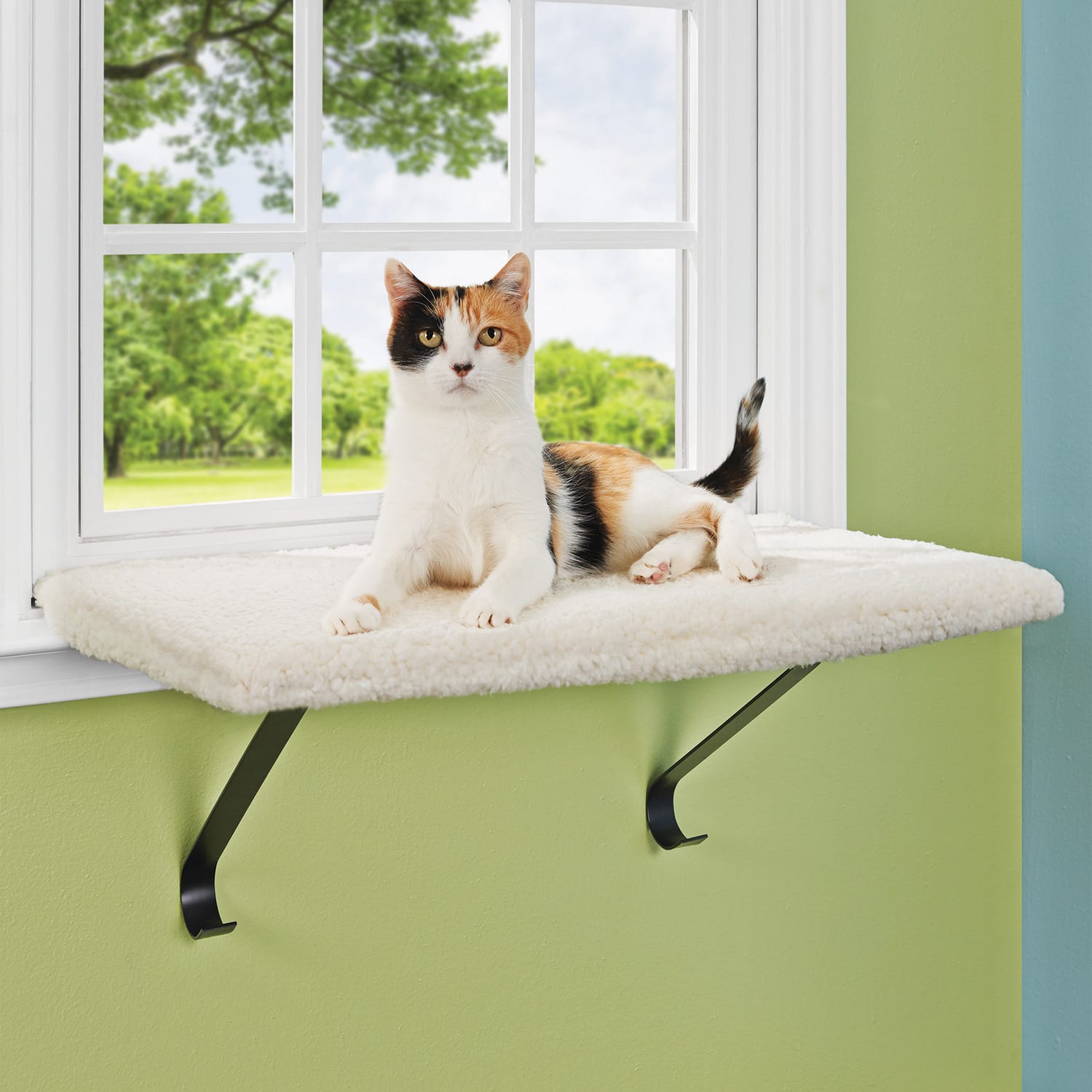 EveryYay Higher Ground Memory Foam Cat Perch 1.5 H