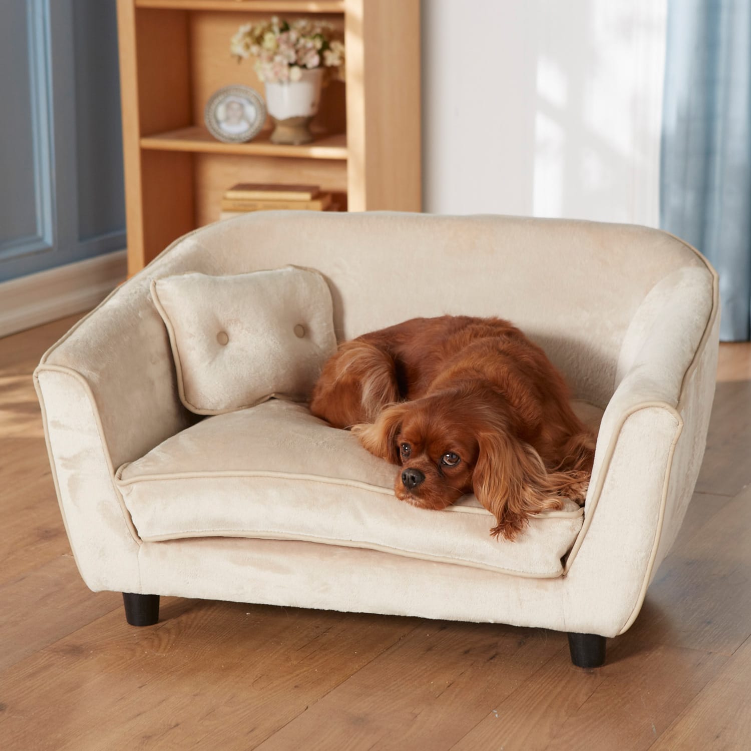 leather dog sofa bed