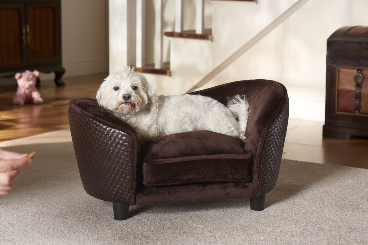enchanted home pet snuggle bed