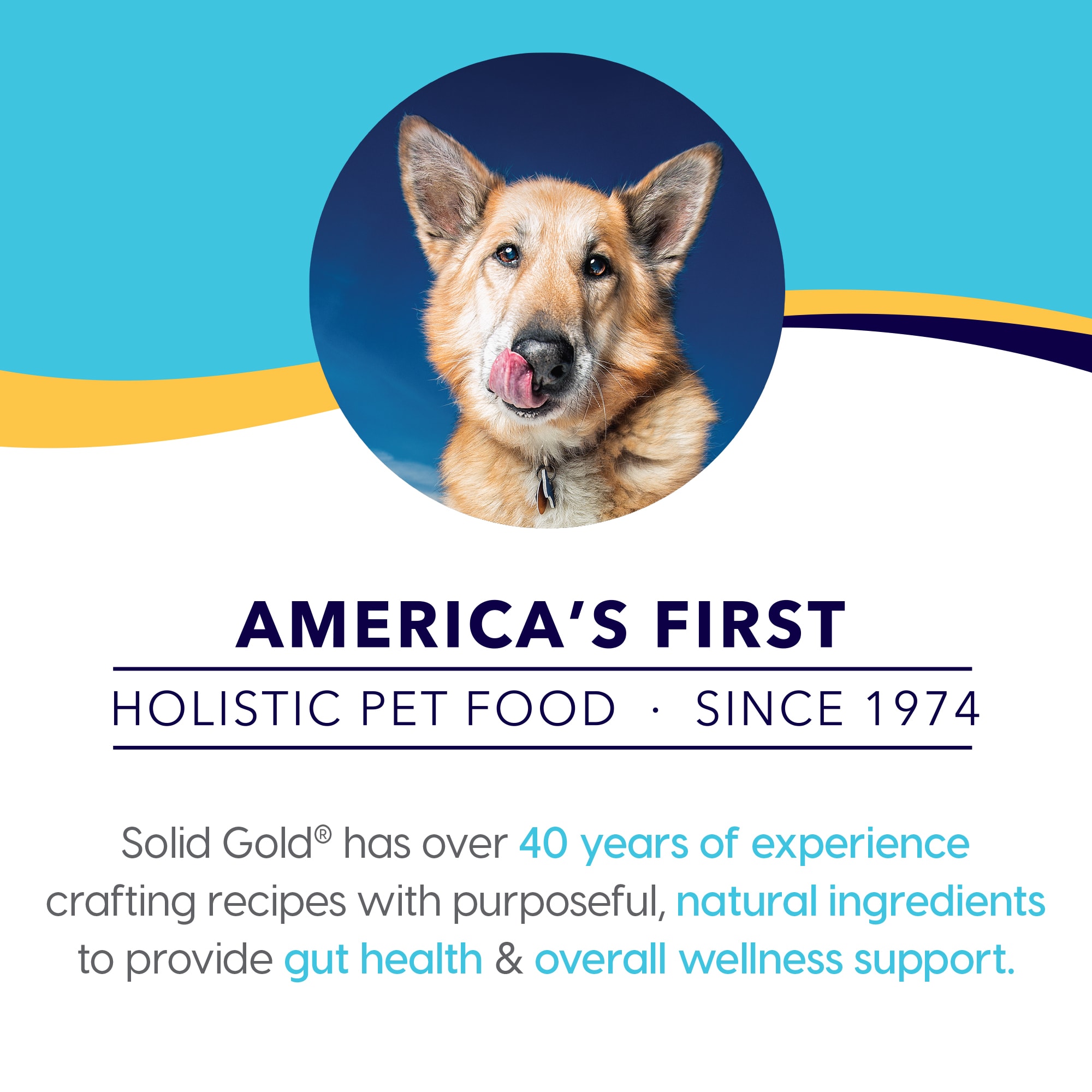 Solid Gold Hund N Flocken Lamb Brown Rice Pearled Barley Holistic Potato Free Dry Adult Dog Food With Superfoods 15 lbs. Petco