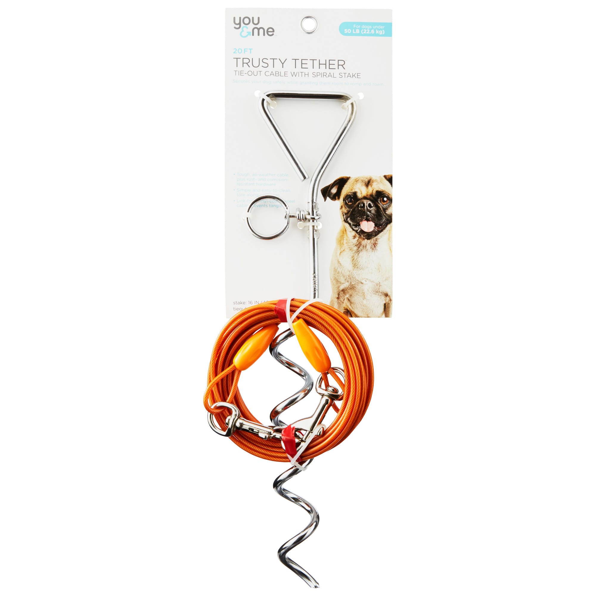 stake and leash for dogs