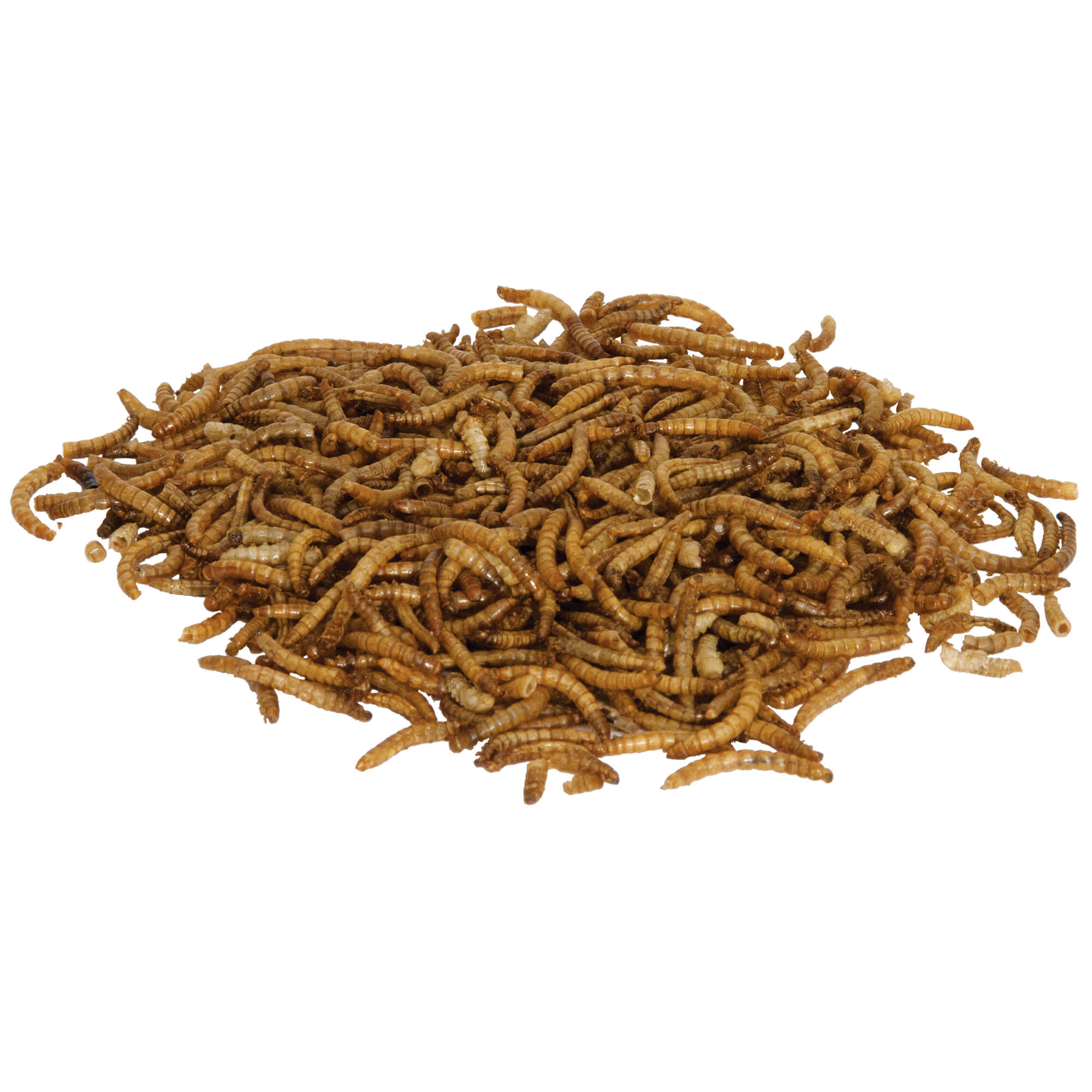 Petco mealworms outlet in store