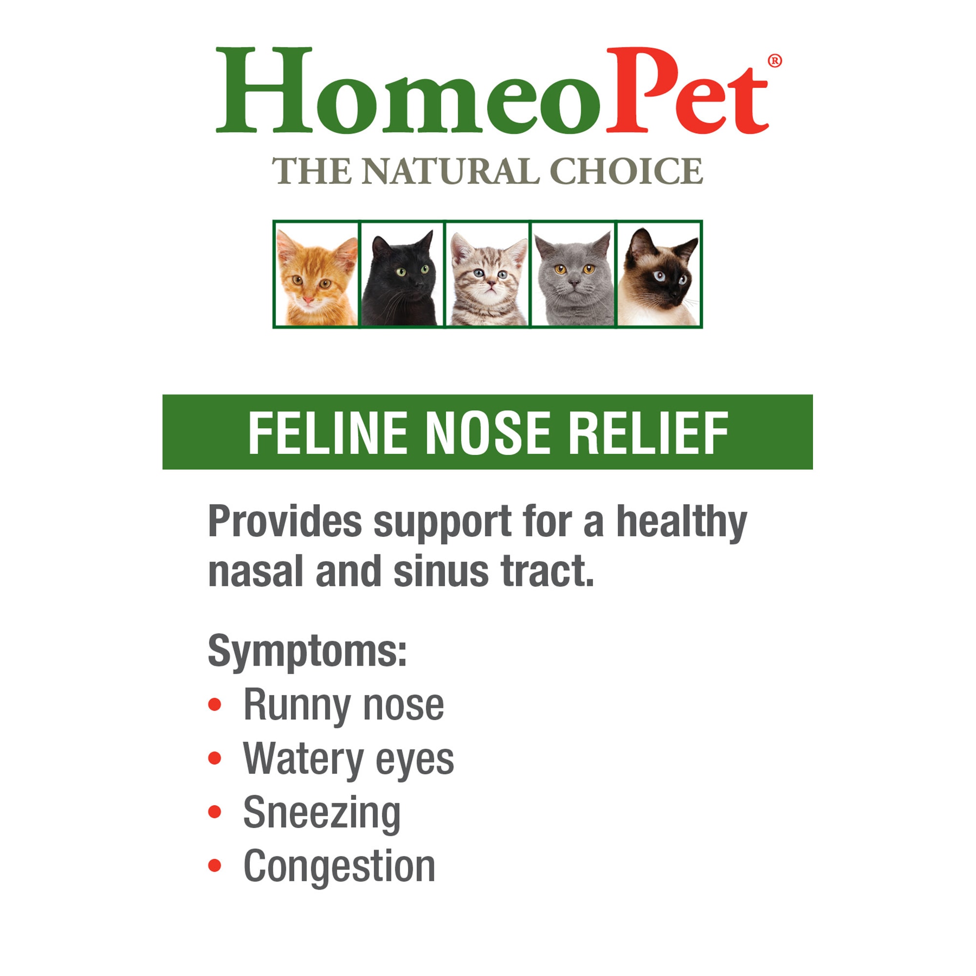 HomeoPet Cat Cold Nose Symptom Relief 15 mL