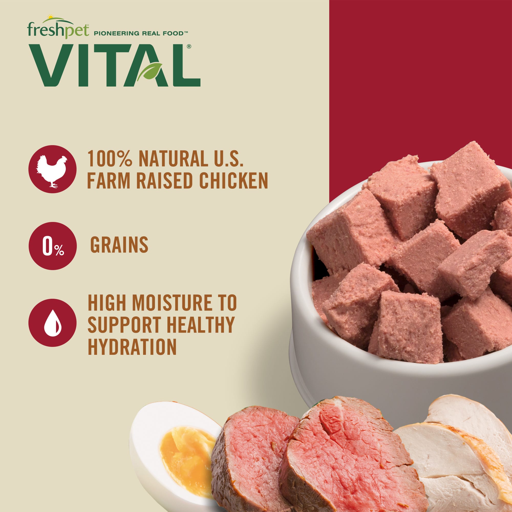 Freshpet Vital Grain Free Chicken Beef Fresh Cat Food 1 lb