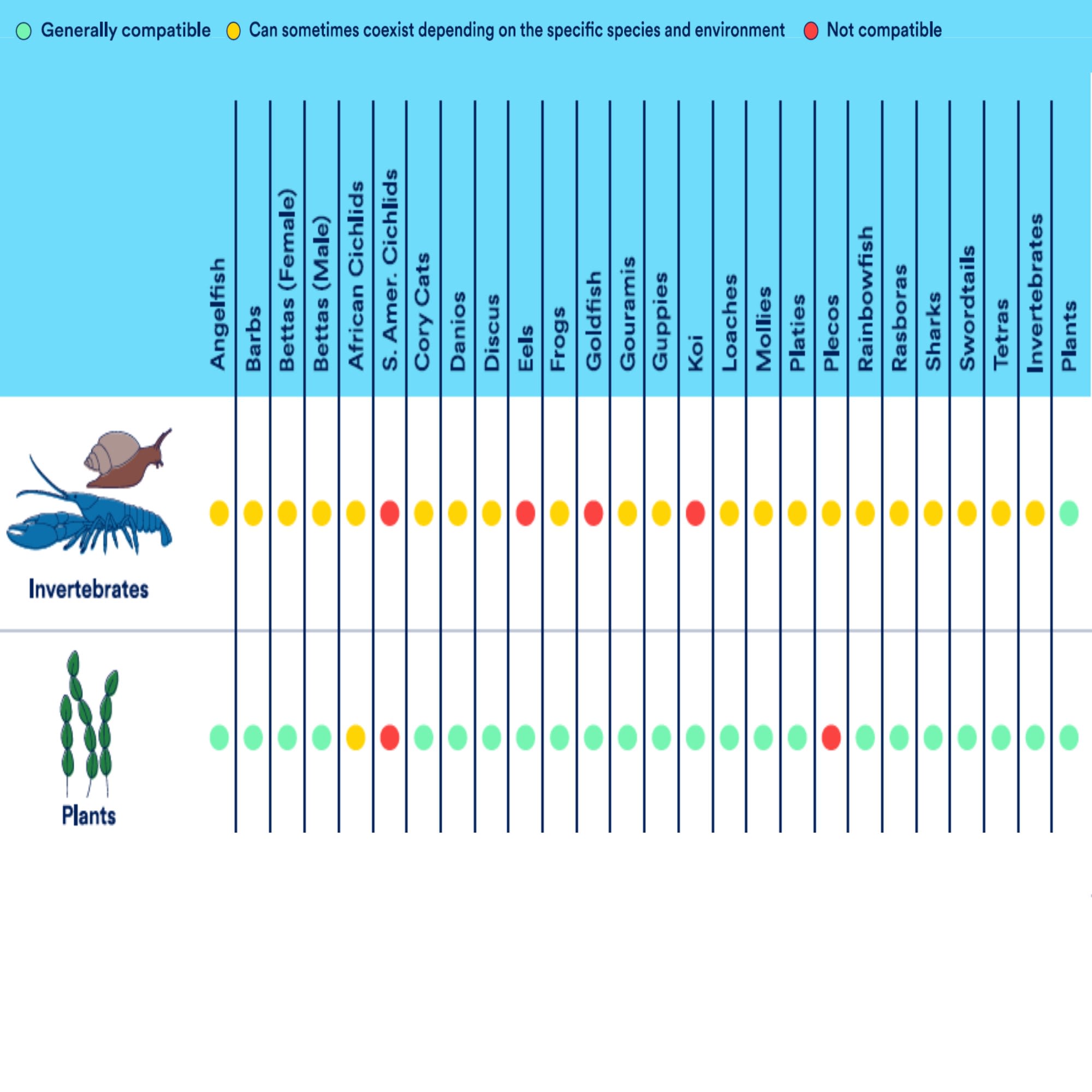 Brine shrimp eggs clearance petco