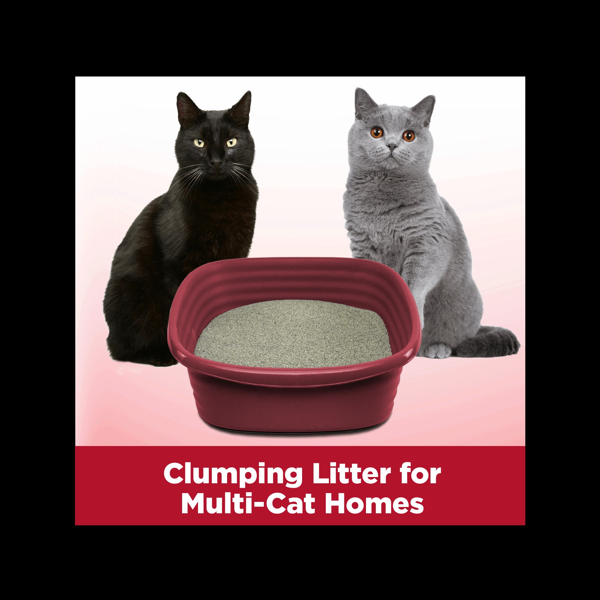 Arm Hammer Clump Seal Multi Cat Odor Sealing Cat Litter 38