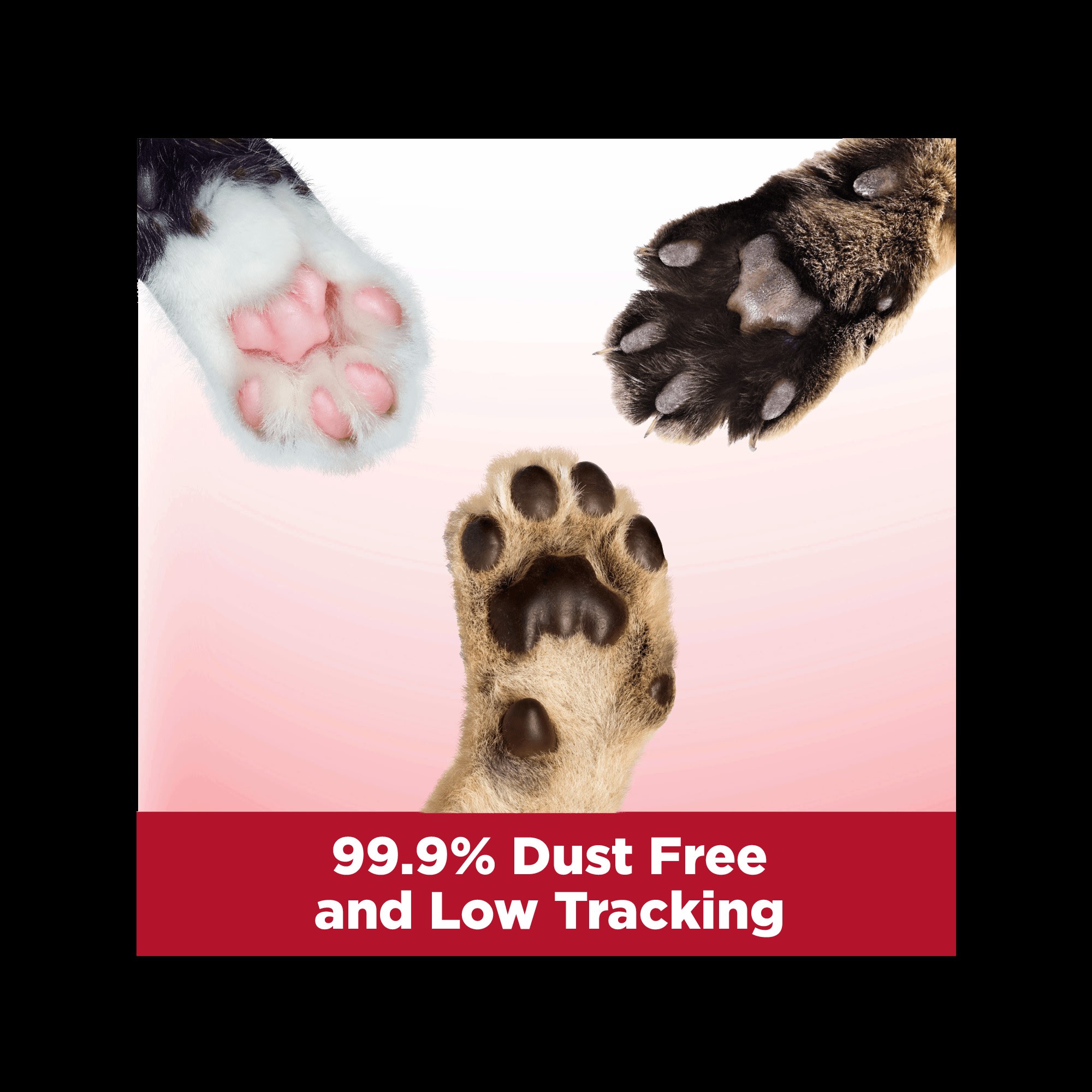 Petco clump and seal sale