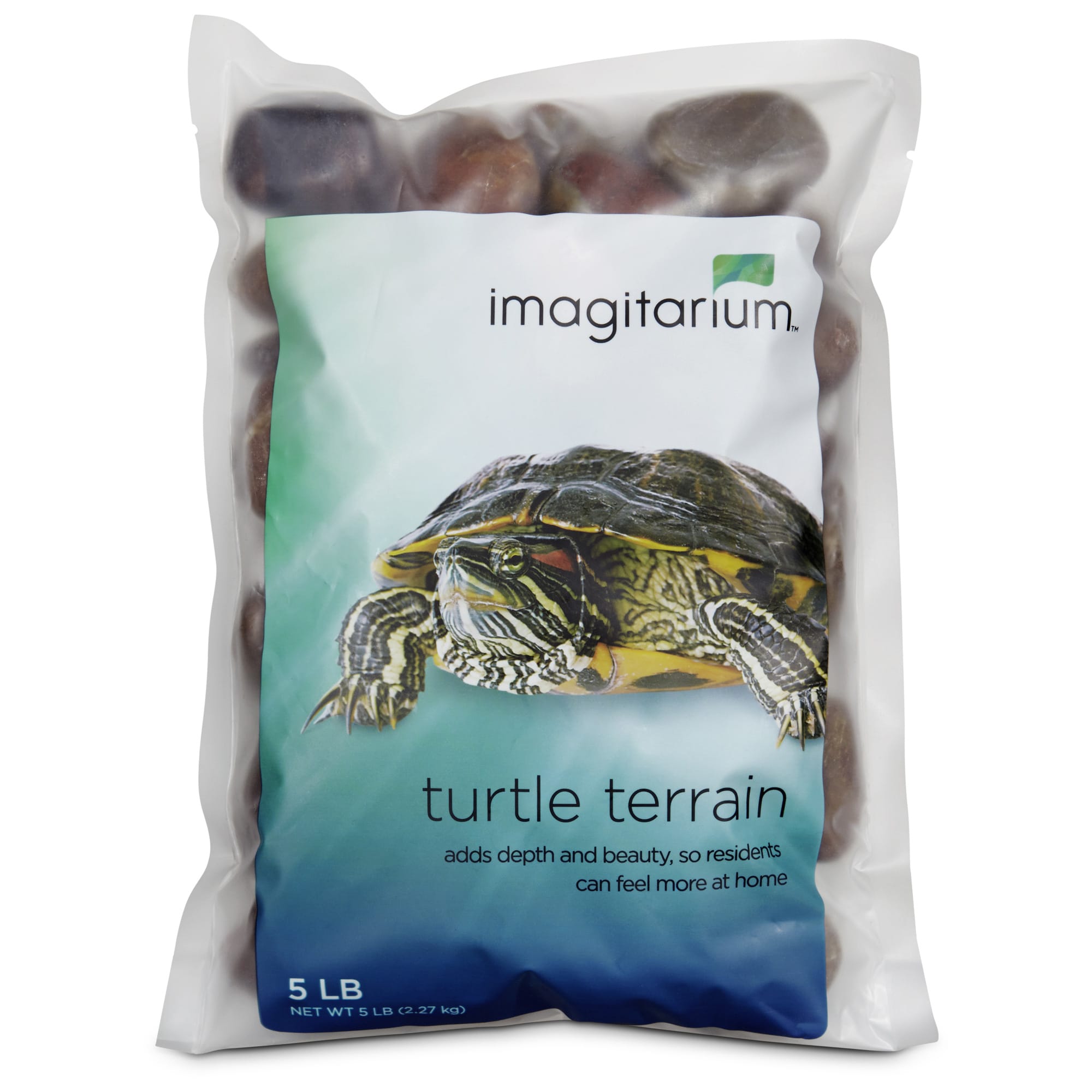 automatic turtle feeder petco