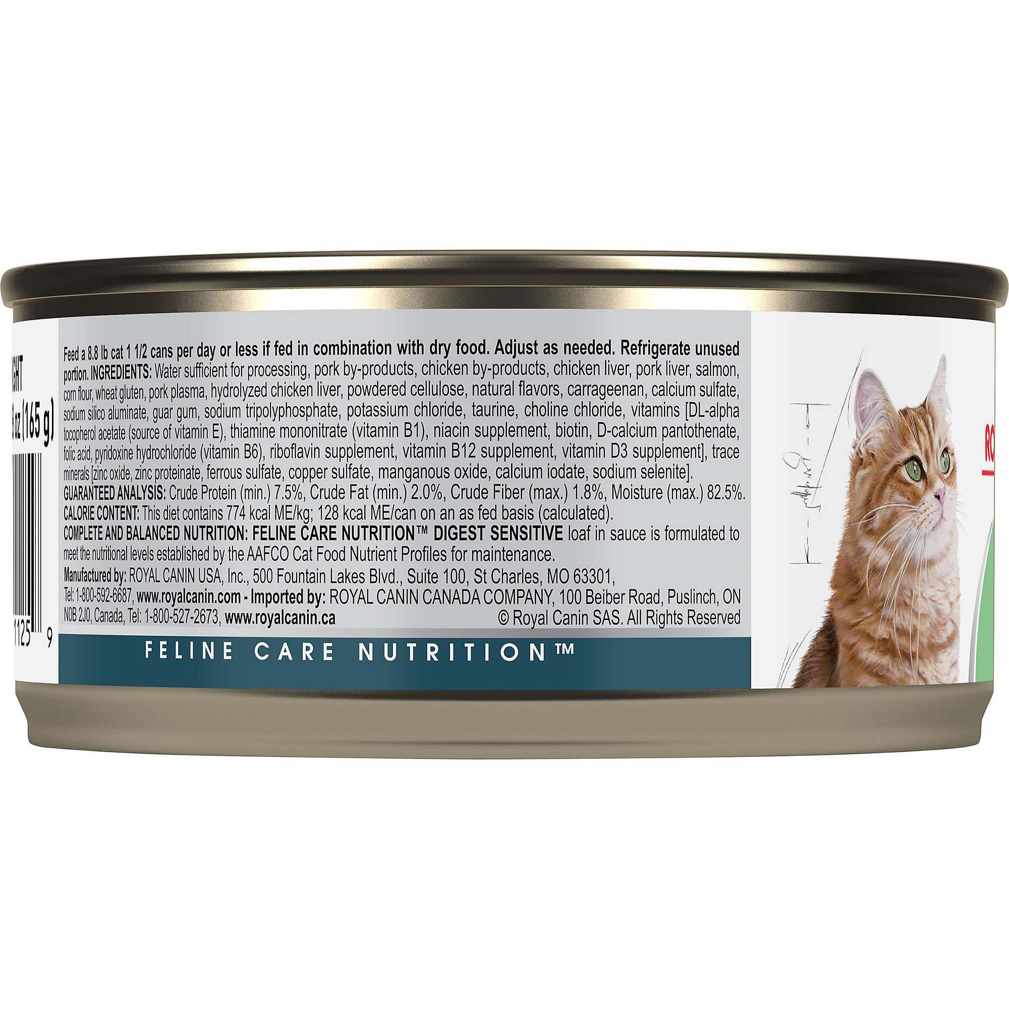 Royal Canin Digest Sensitive Loaf in Sauce Wet Cat Food eBay