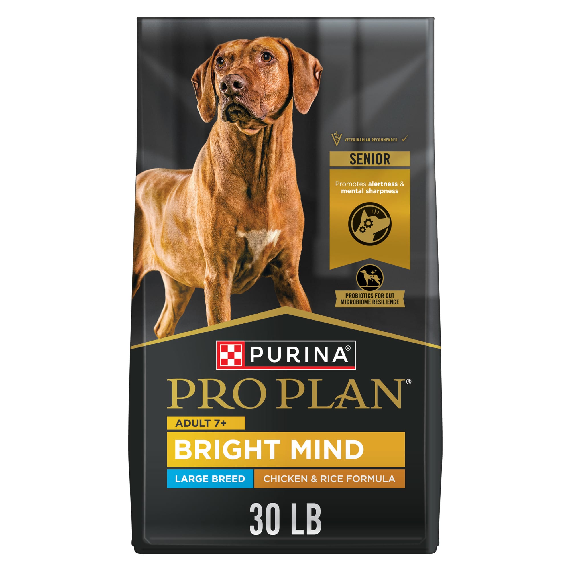 UPC 038100170767 product image for Purina Pro Plan Bright Mind 7+ Chicken & Rice Formula Large Breed Senior Dry Dog | upcitemdb.com